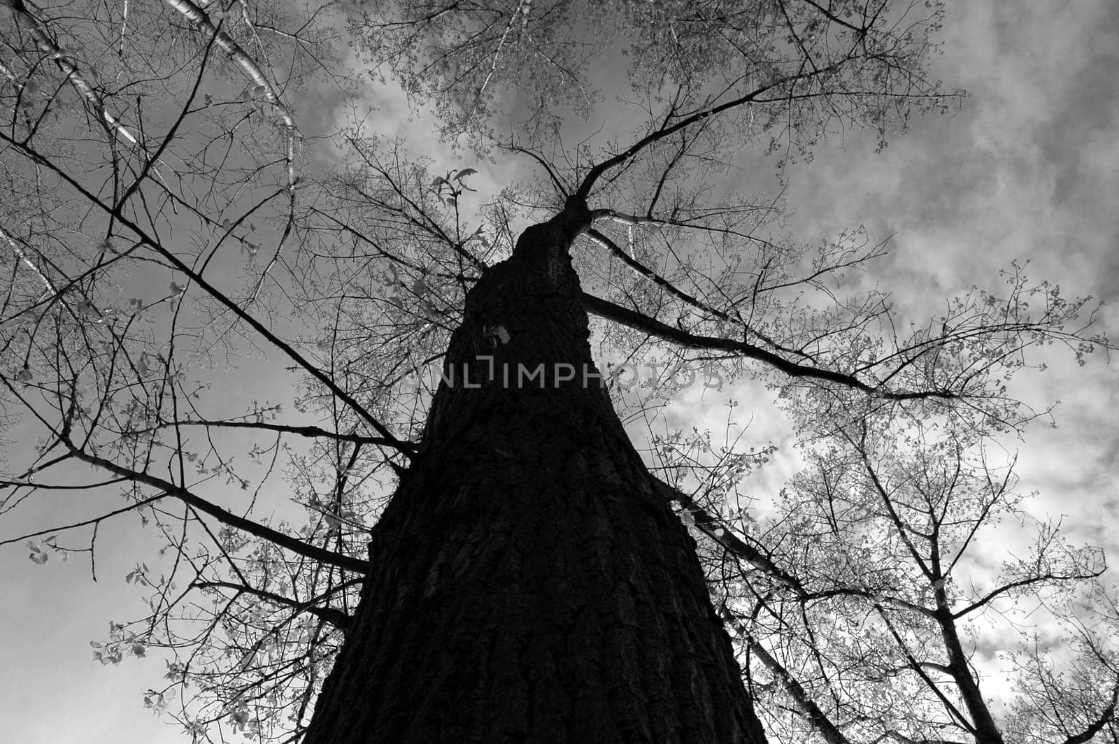 Created in April 2005. Nikon D70,Tokina 12-24.