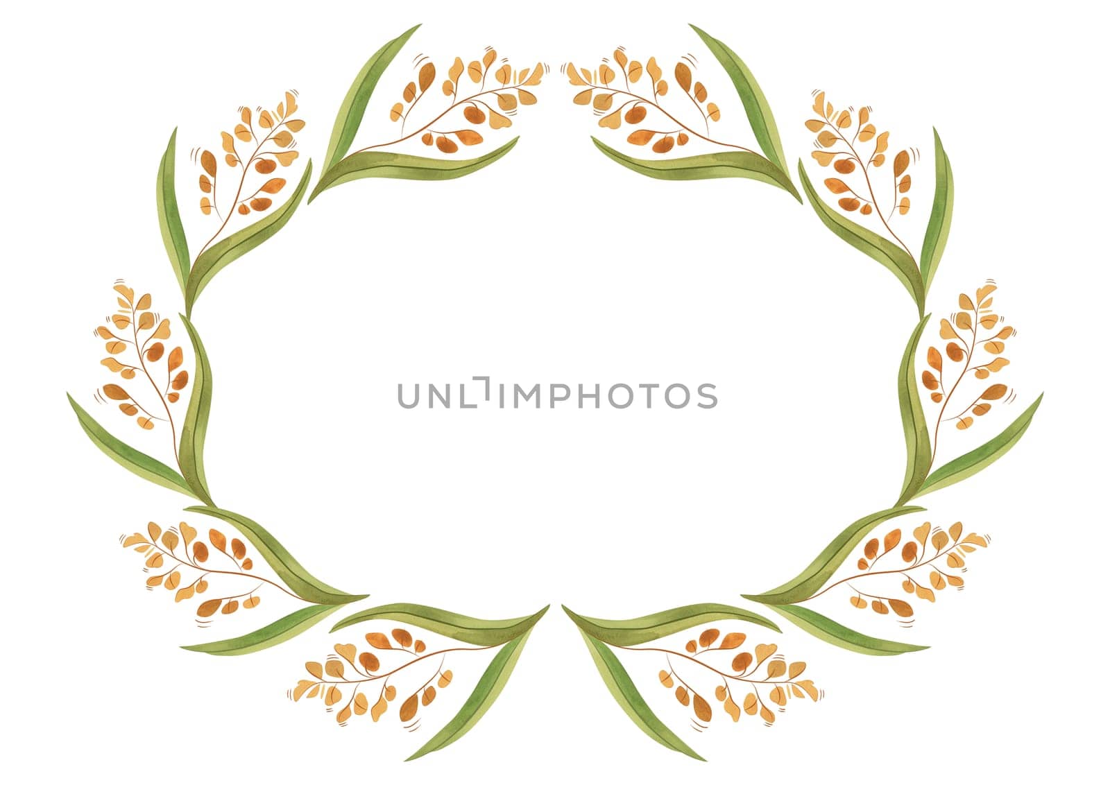 Oval wreath of wild grasses, cereals, ears and leaves. Decor for graphic design, printing and packaging. Isolated hand-drawn watercolor illustration