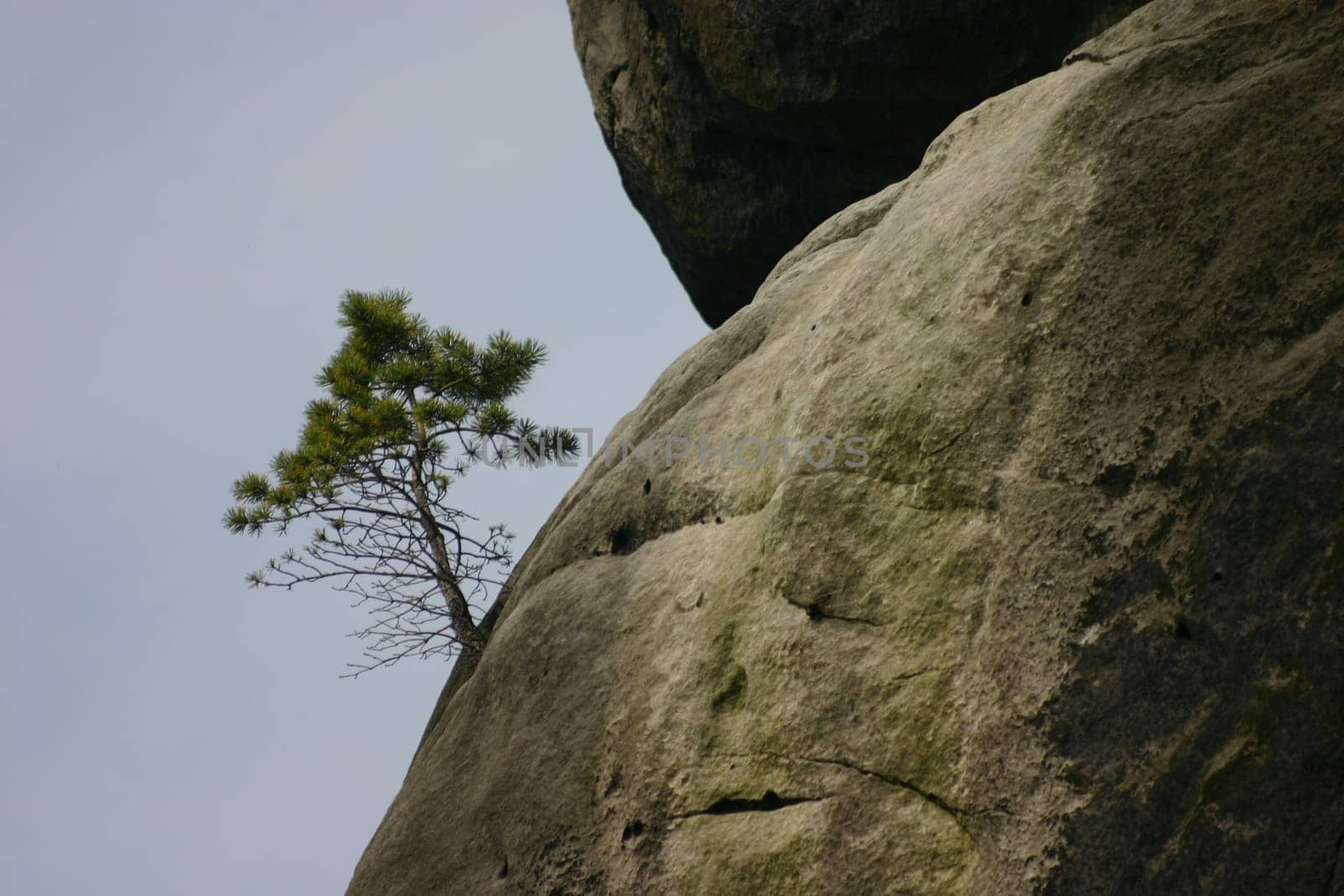 Lonely and high up