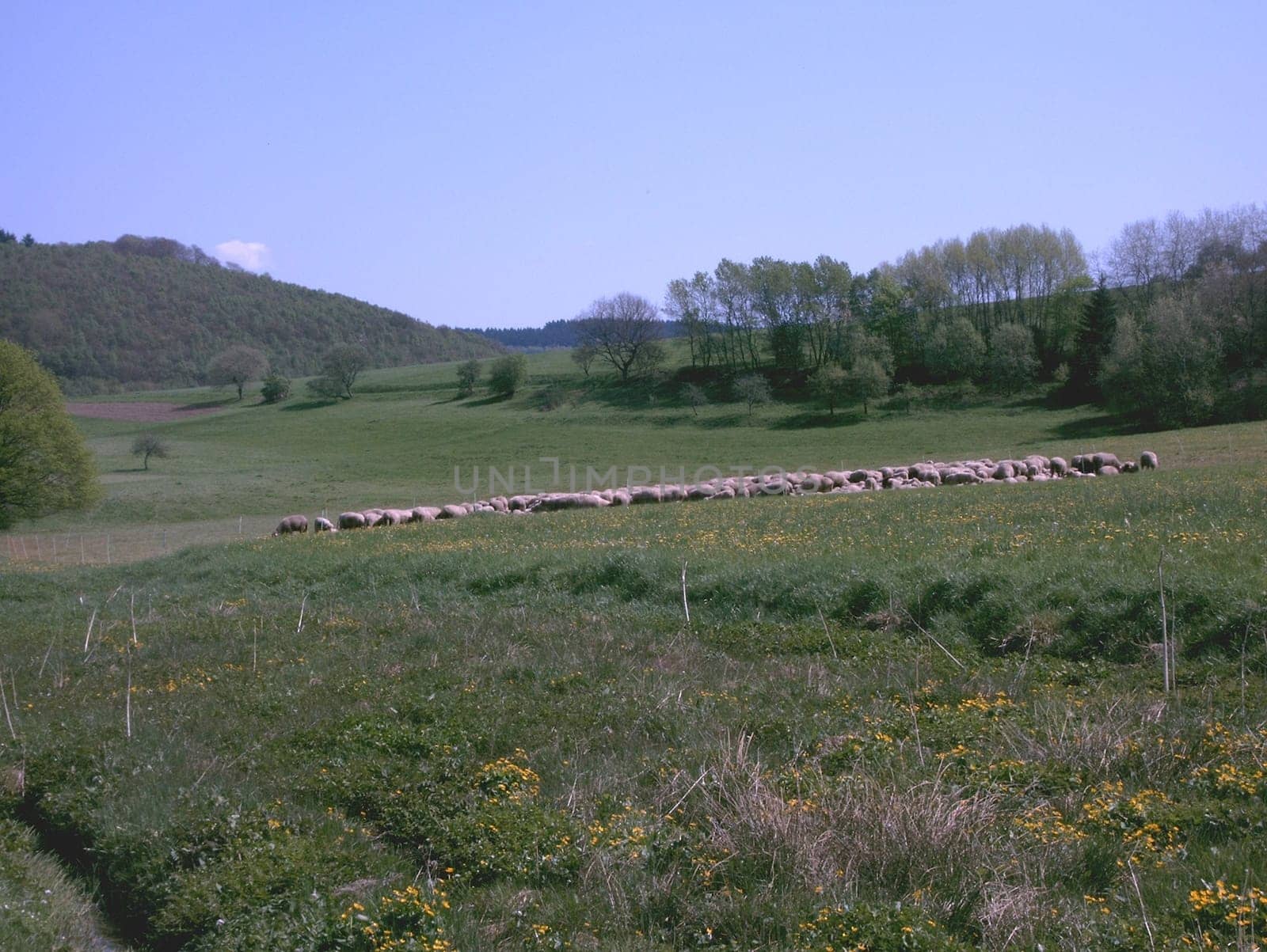 On a bike tour,I just found it idyllic
