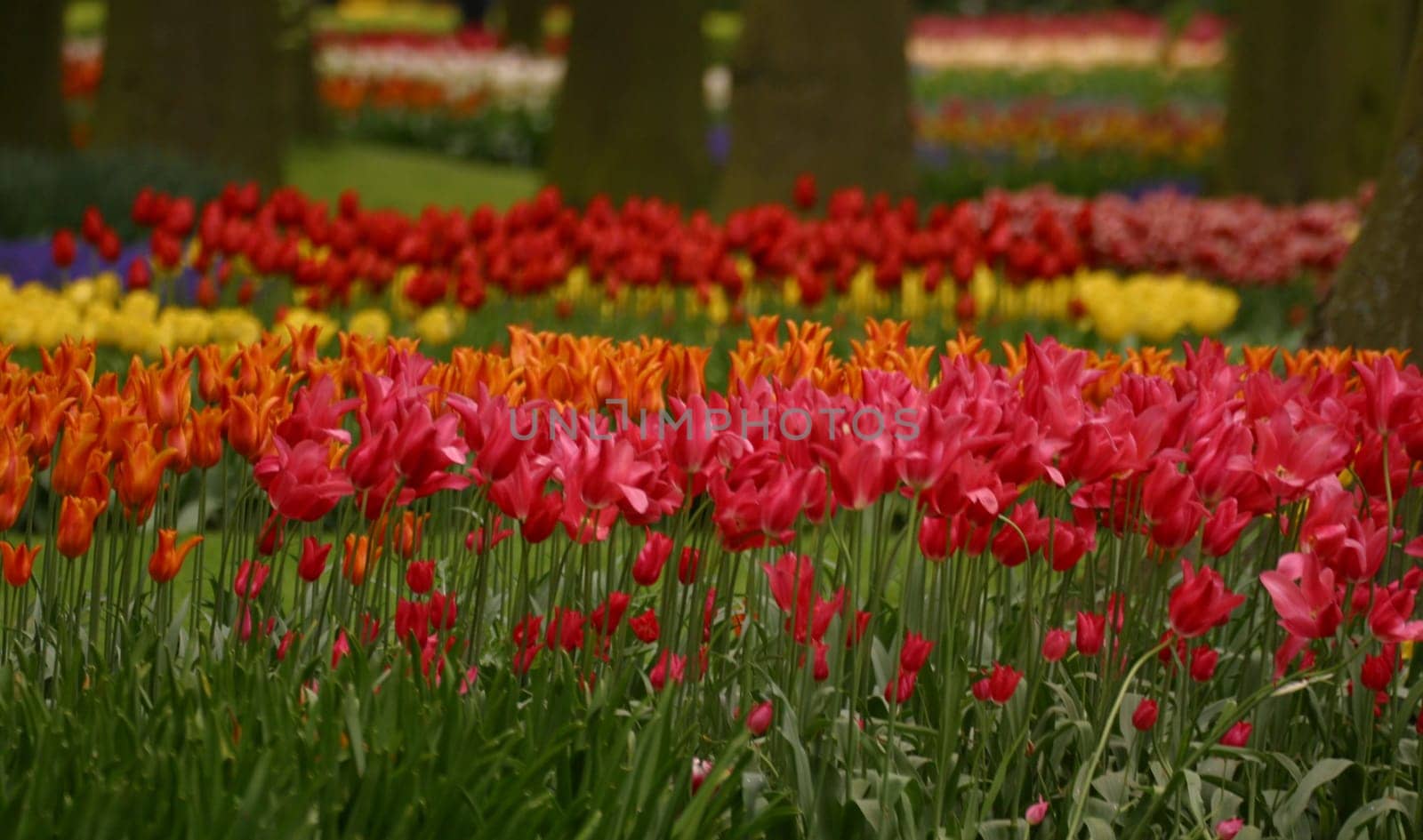 Kunterbunt 3...