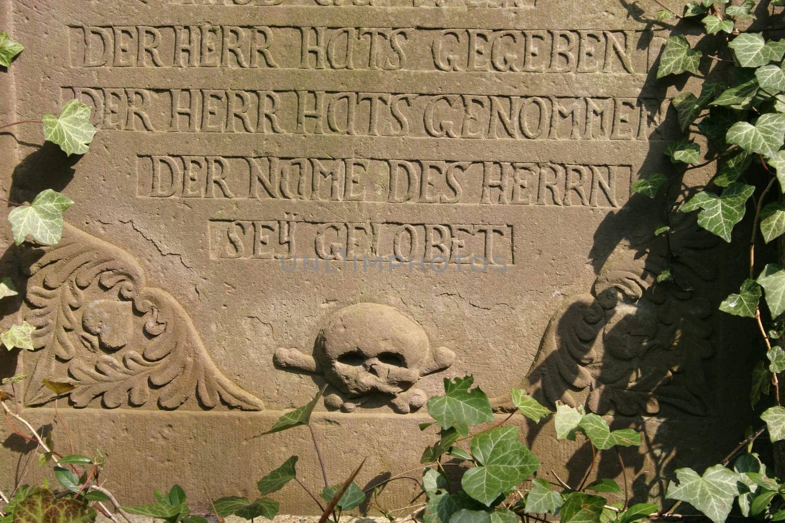Skull on gravestone