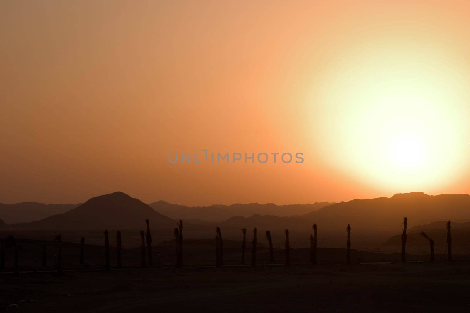Sunset over the desert