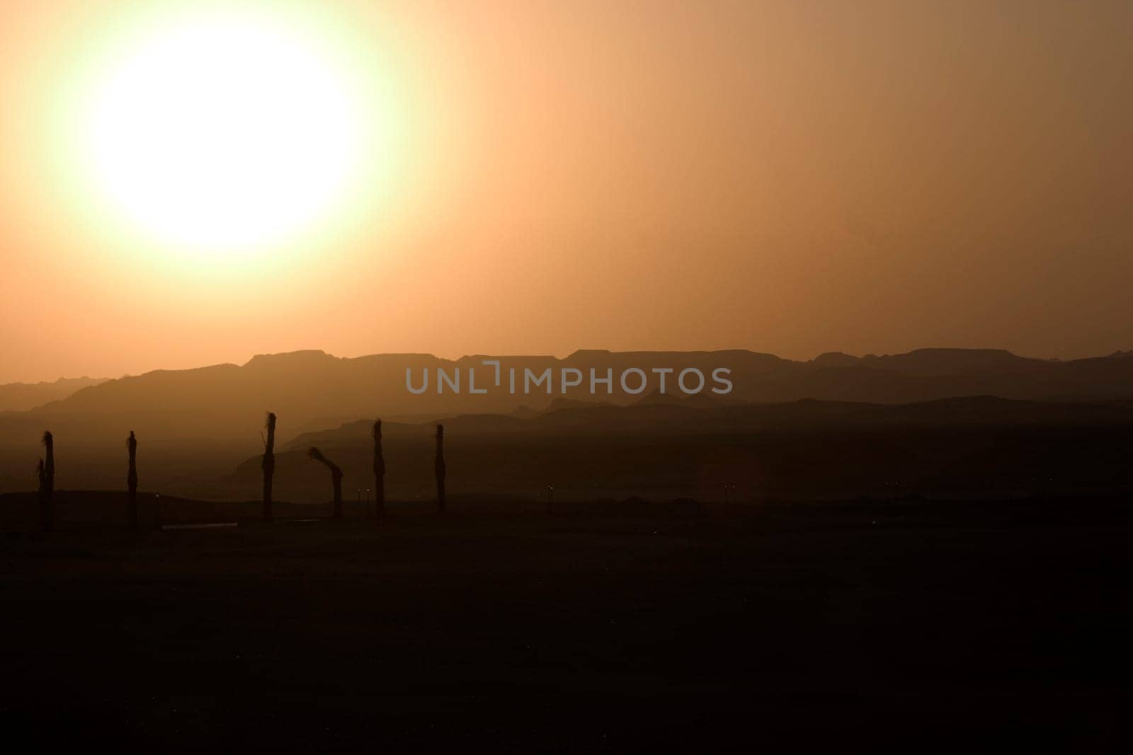 Sunset over the desert