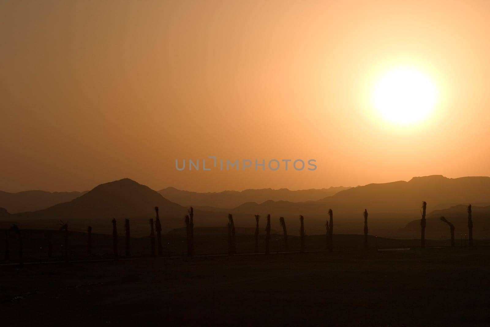 Sunset over the desert