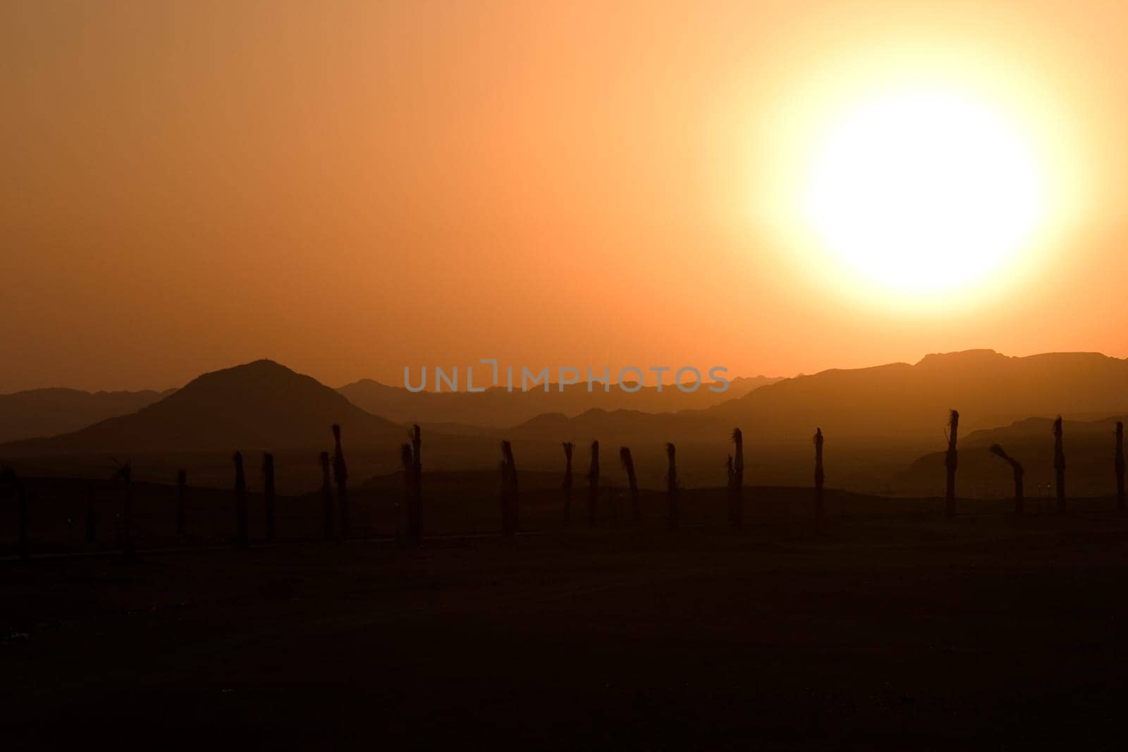 Sunset over the desert