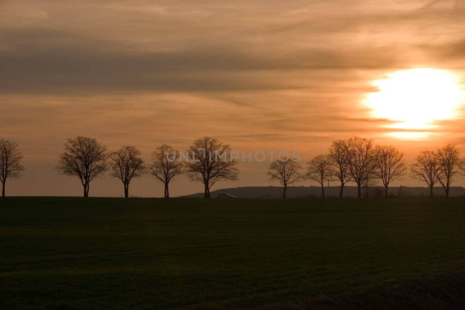 Avenue at sunset