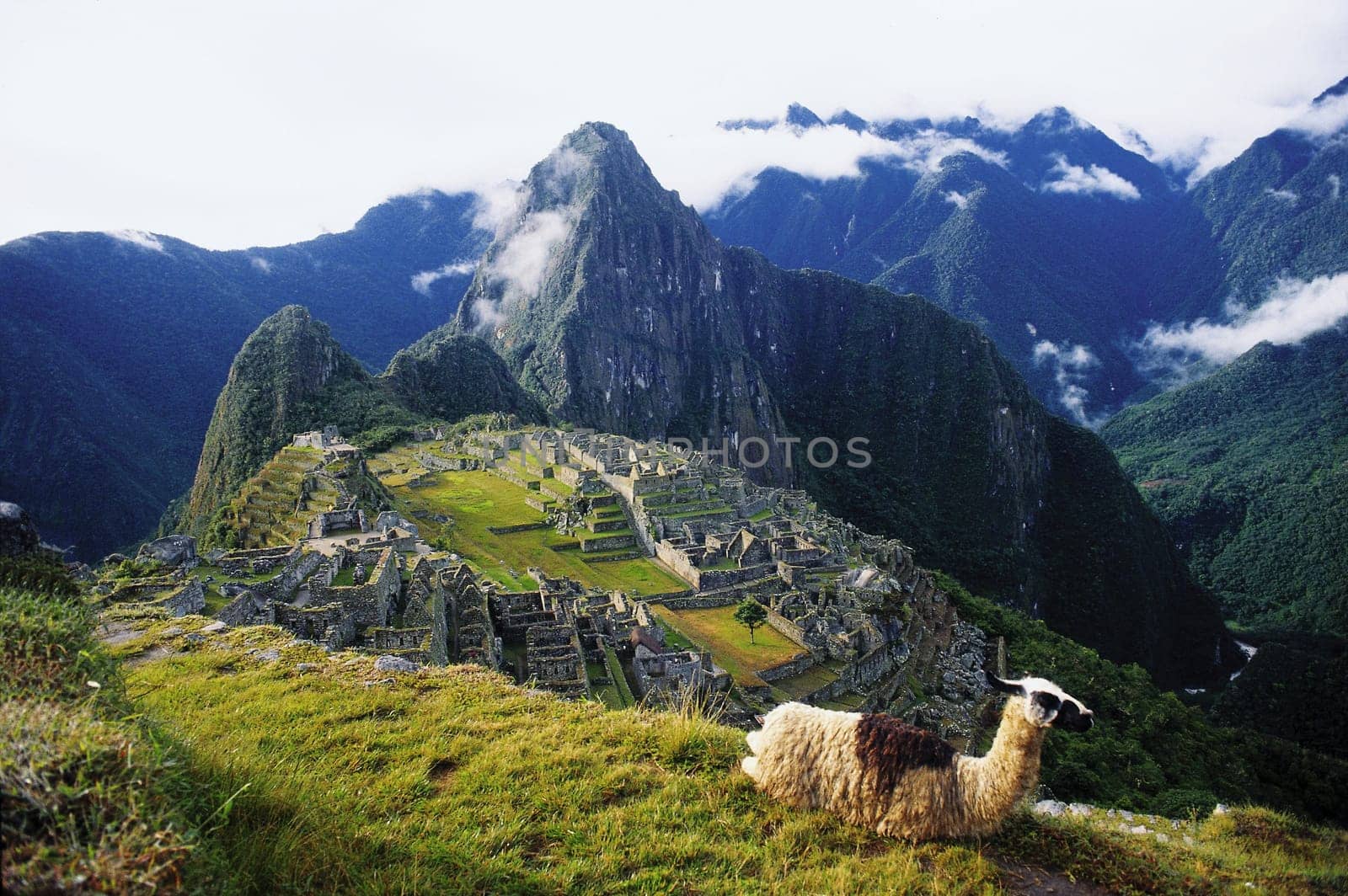 Peru trip 1993 Data up to poster size available. Machu Pichu in the high Andes on the Urubamba River. (Peru). It wasn't until 1911 that Hiram Bingham of Yale University discovered the city and called it mountaintop.