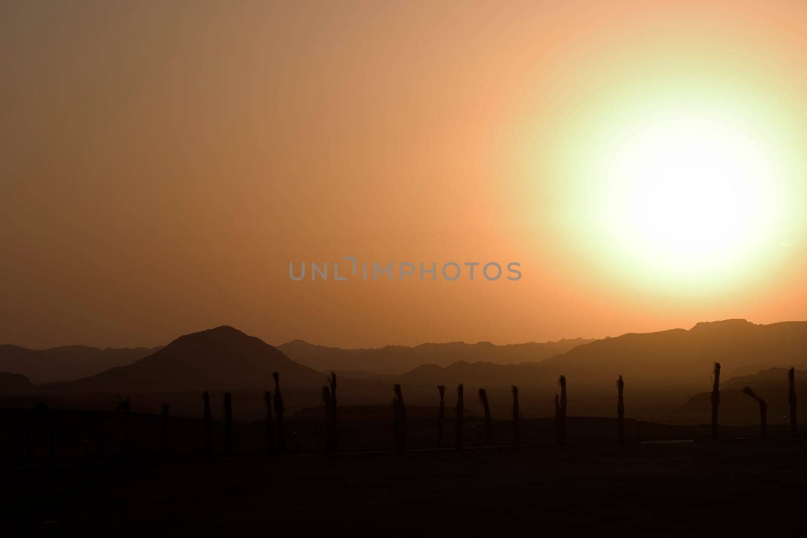 Sunset over the desert