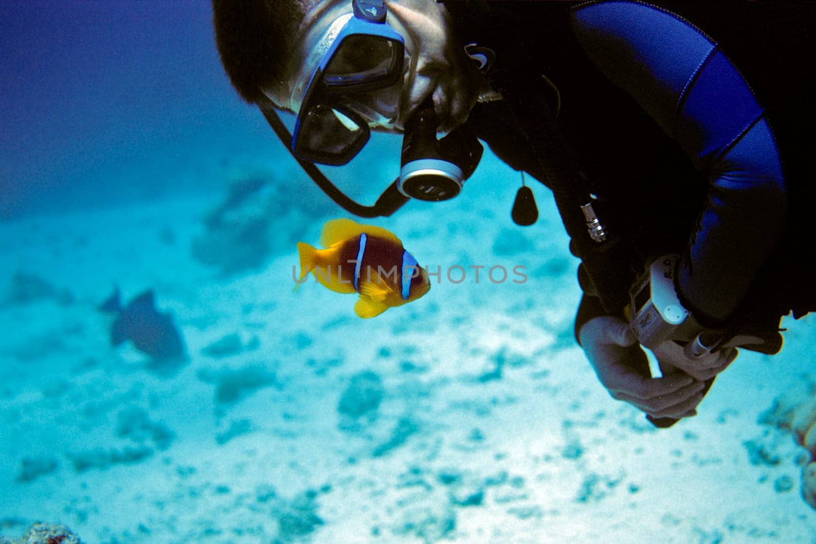 Nemo up close - Part. II