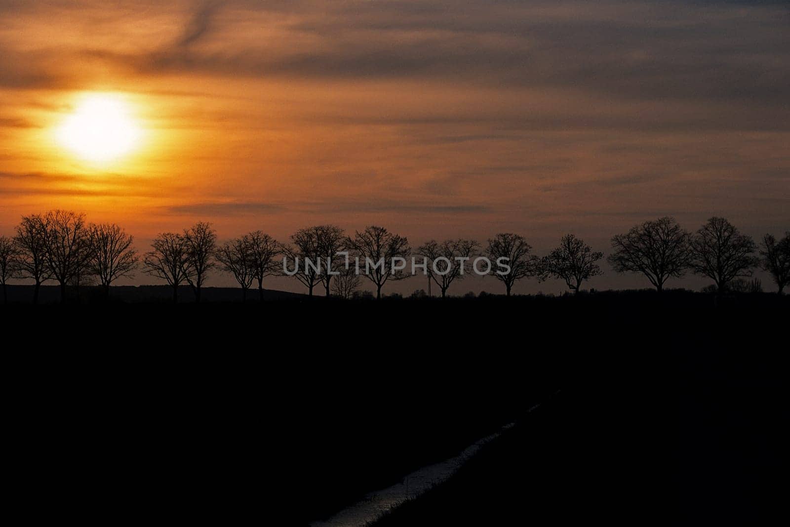 Avenue at sunset