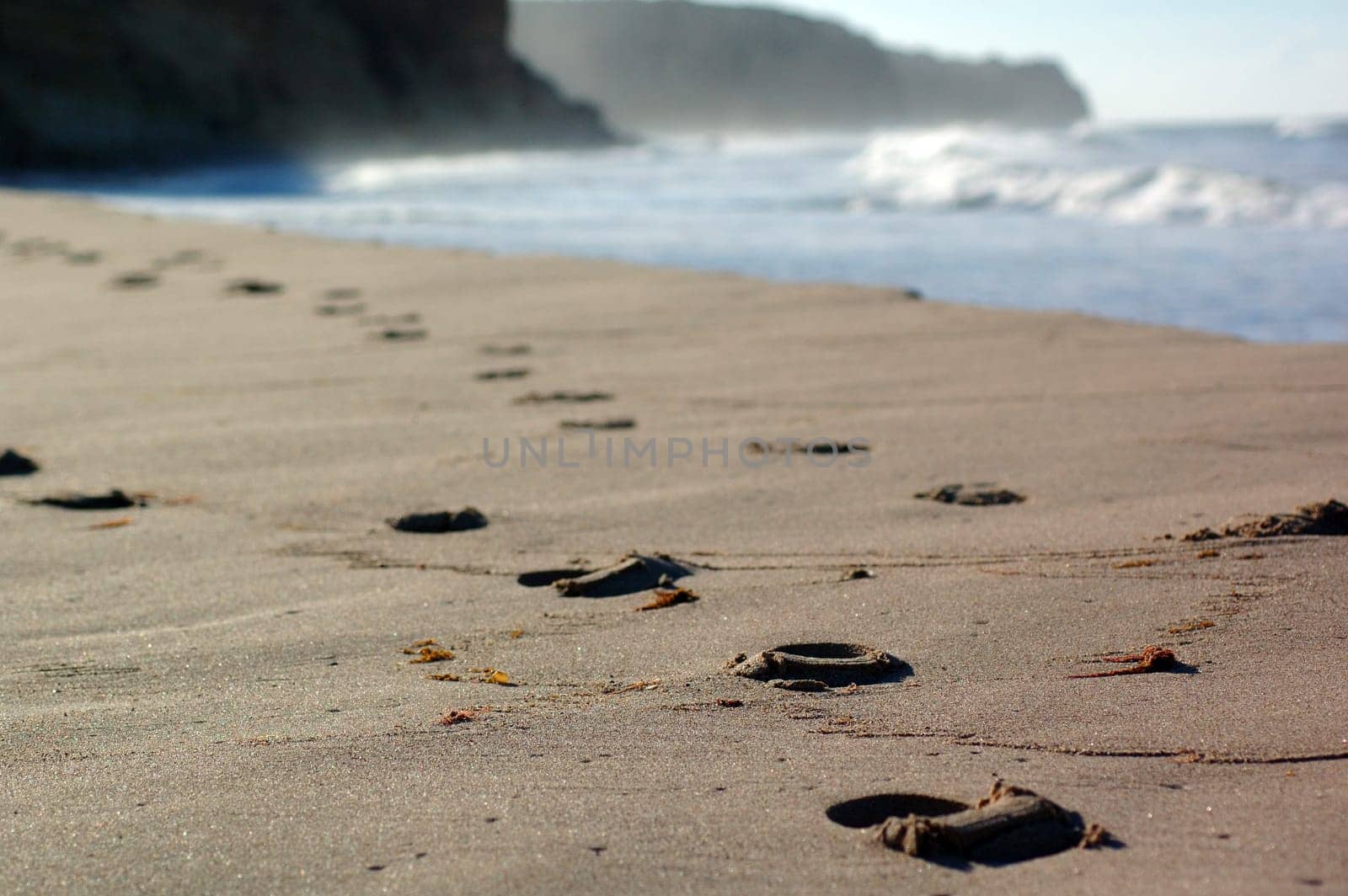Tracks on the beach