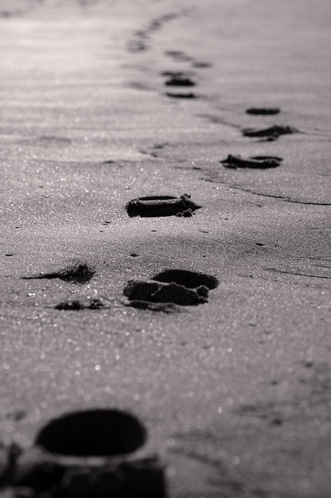 Tracks in the sand