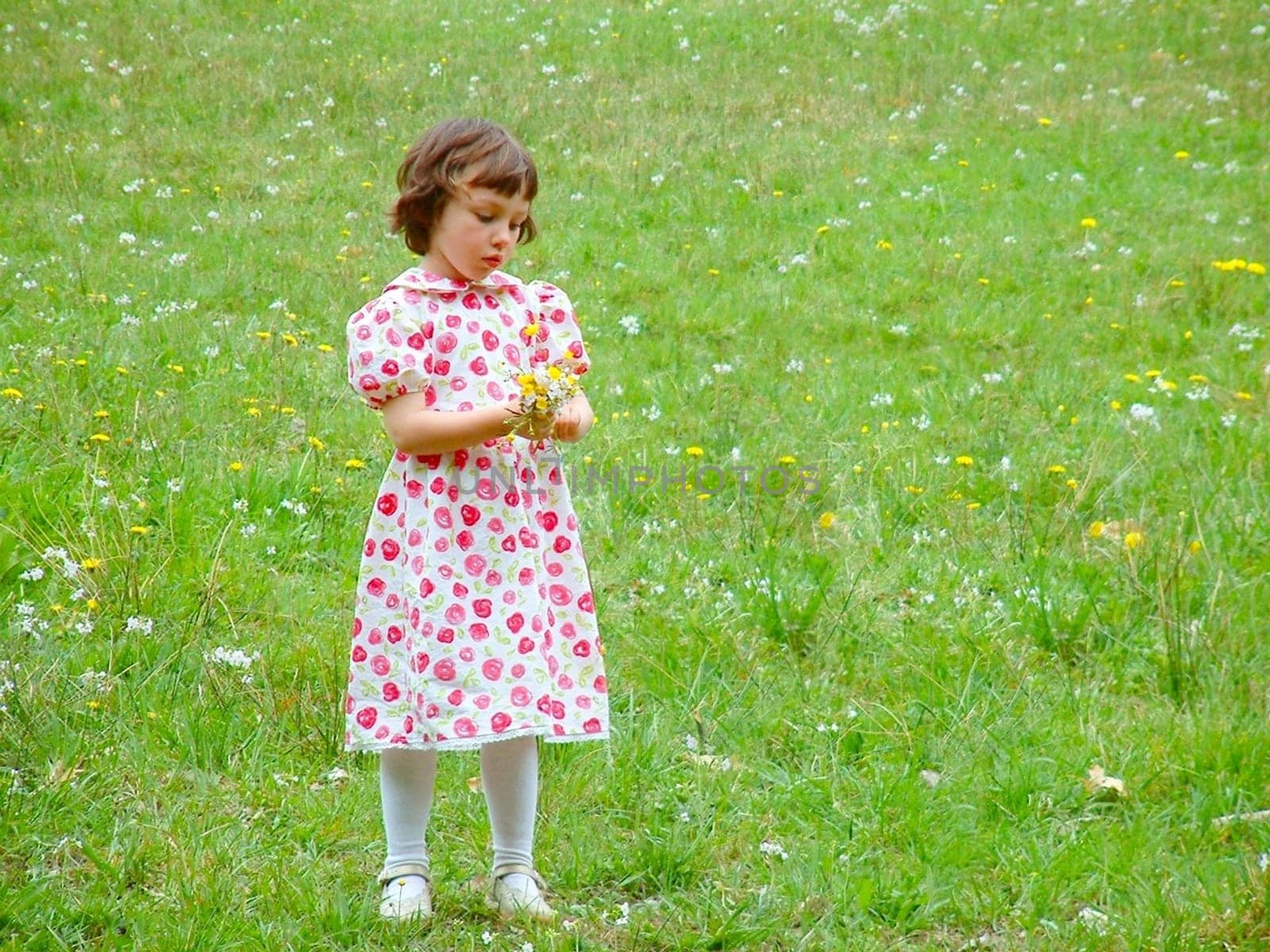 Flower Child
