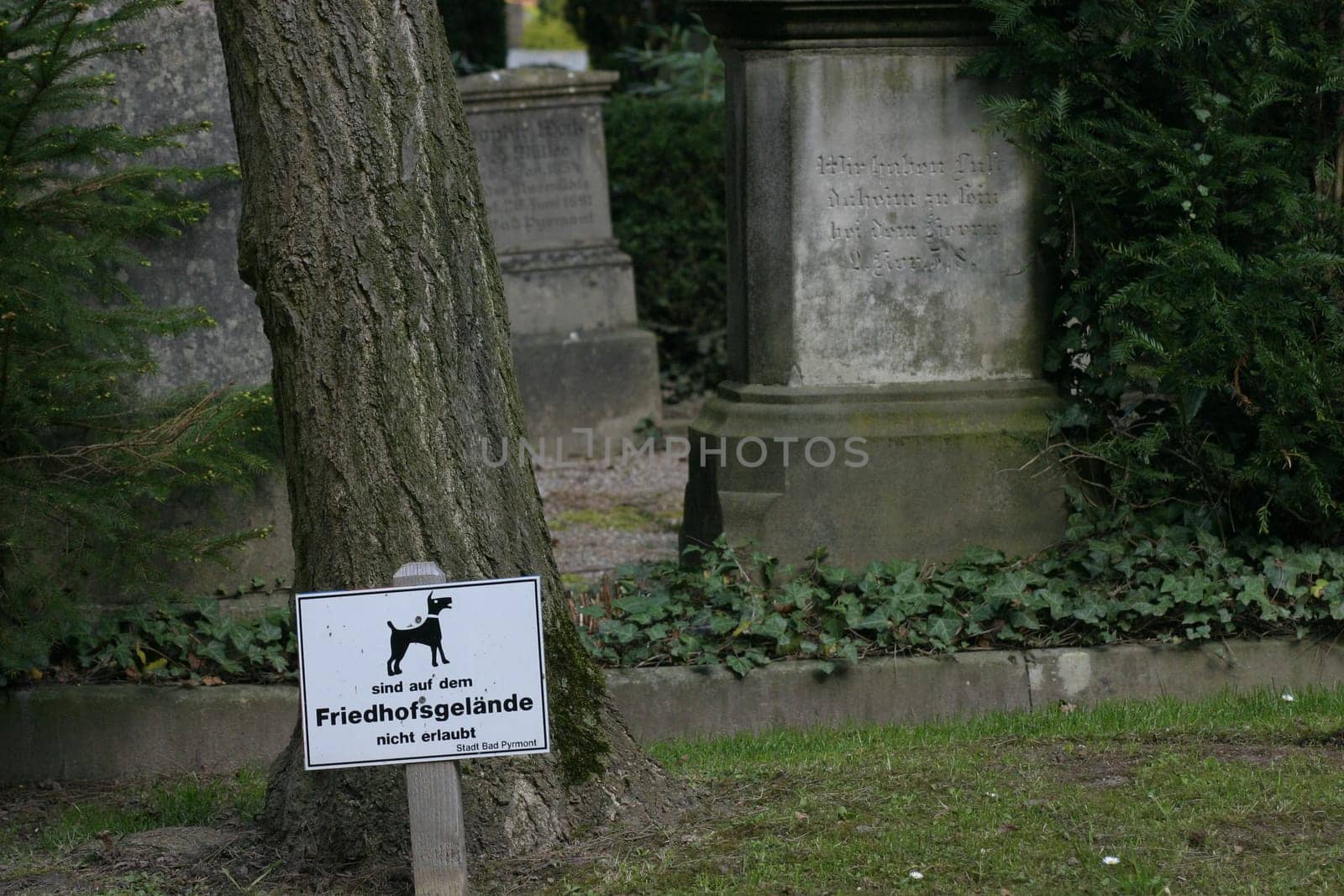 Dogs prohibited