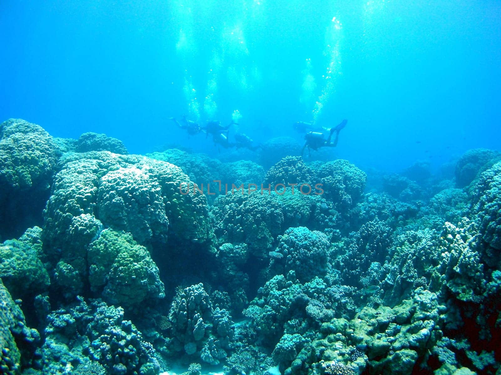 If you know how slow corals grow,given the size of these coral blocks,you realize that they have been growing and thriving for well over 1000 years. We humans are so small against it!