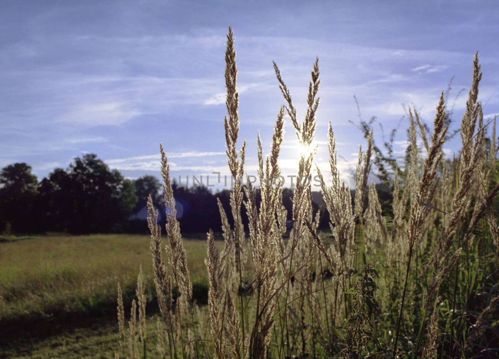 Late summer