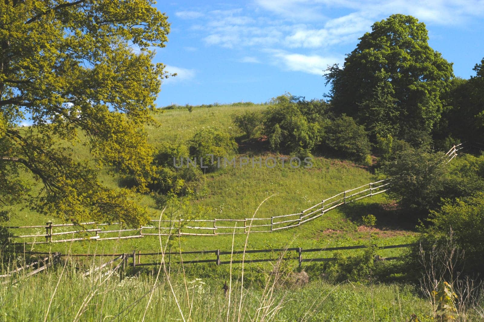 Idyll 3