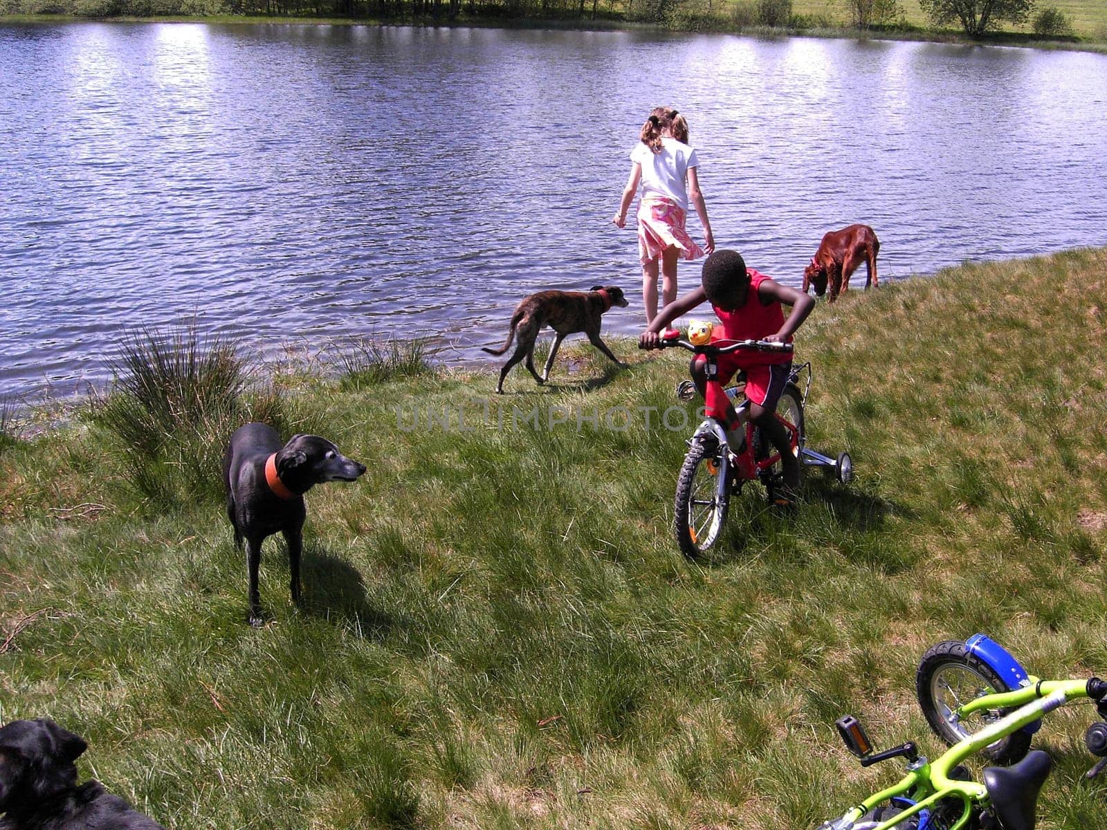 Fun at the pond