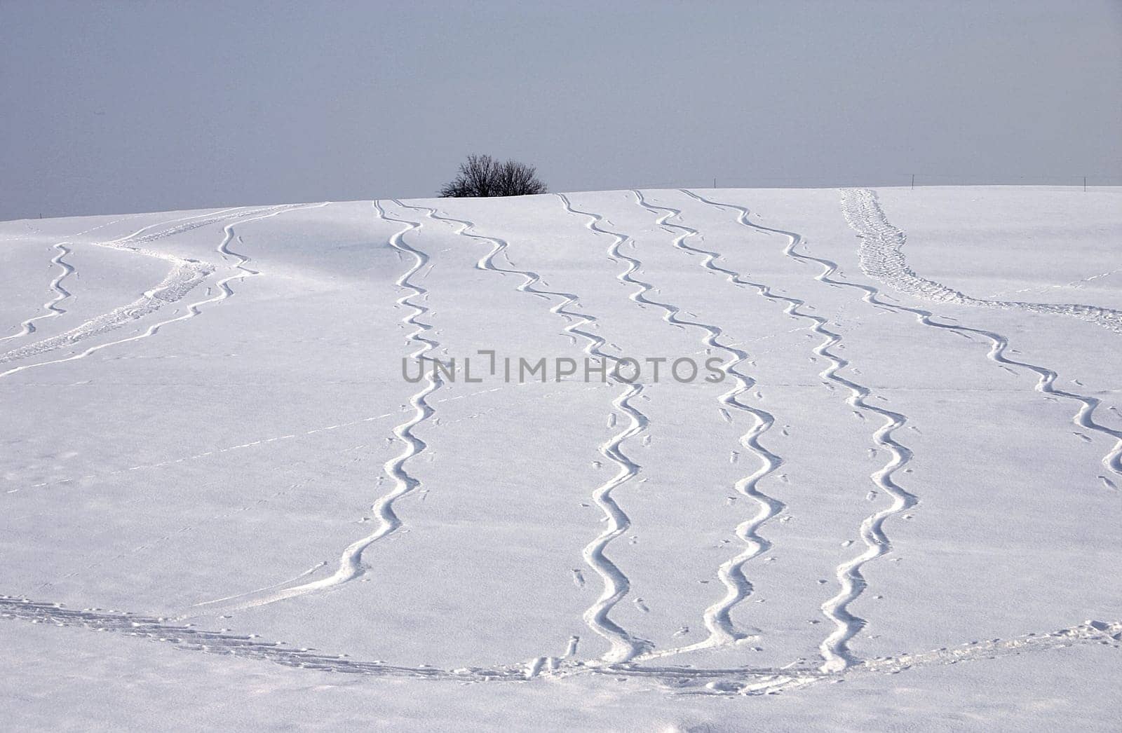 Serpentine lines