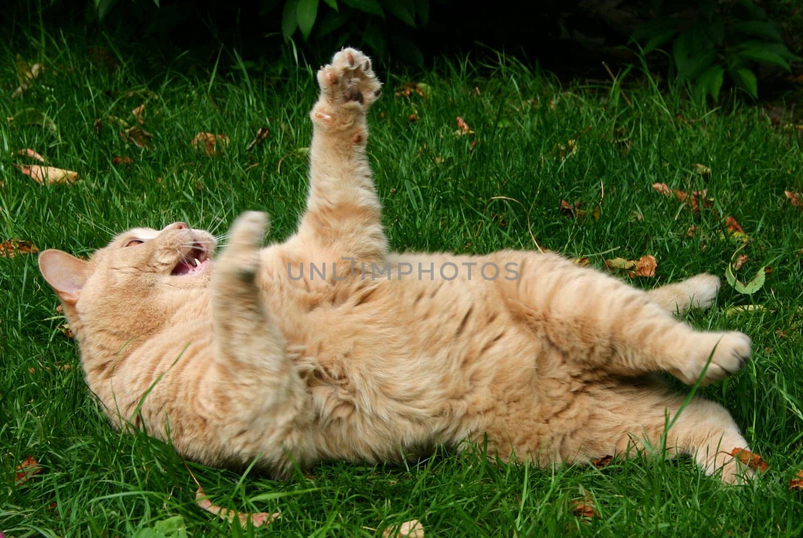 Despite his cosiness,he doesn't put up with everything!!!