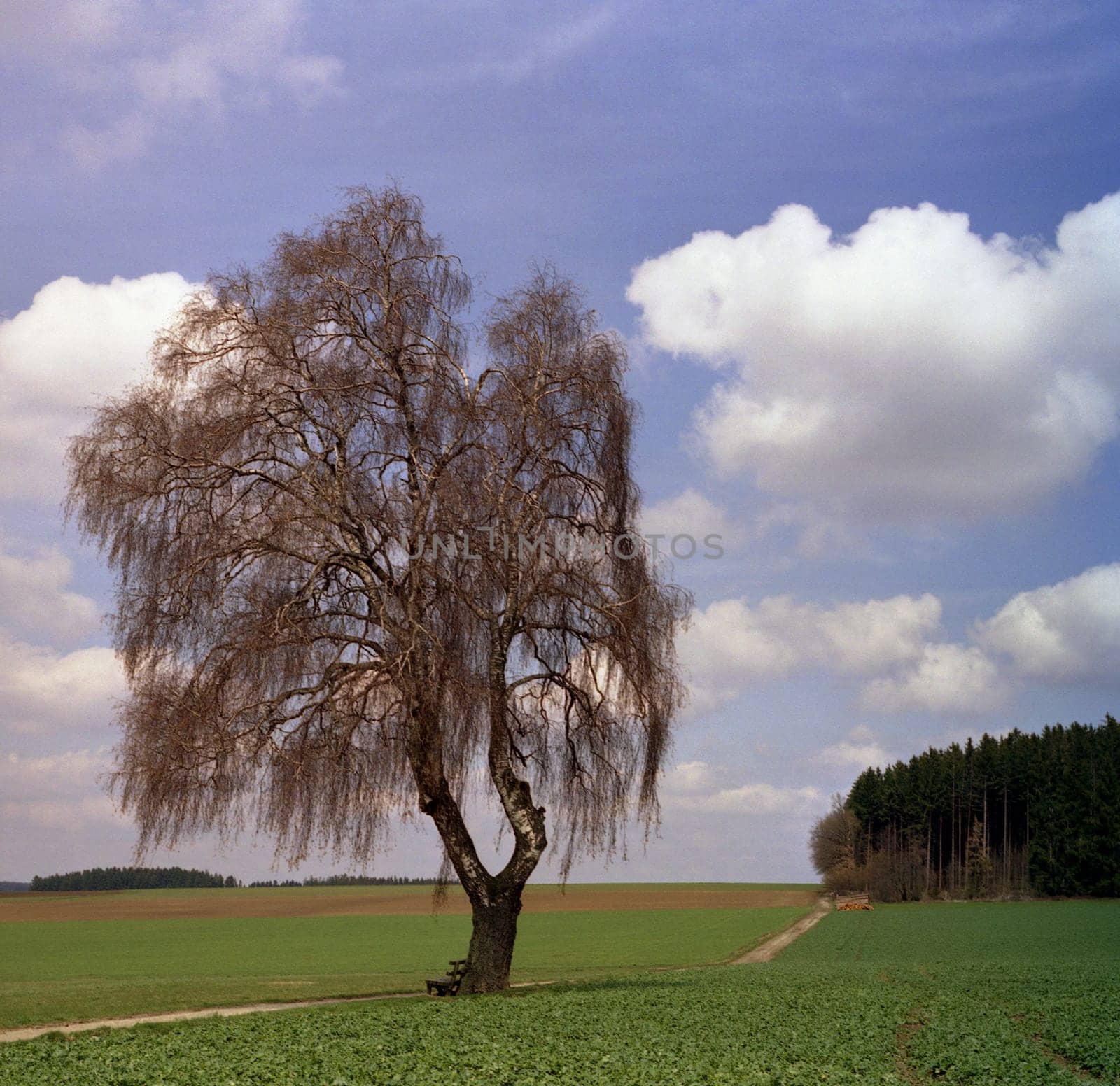 Photographed with an AGFA ISOLETTE II from the 50s...