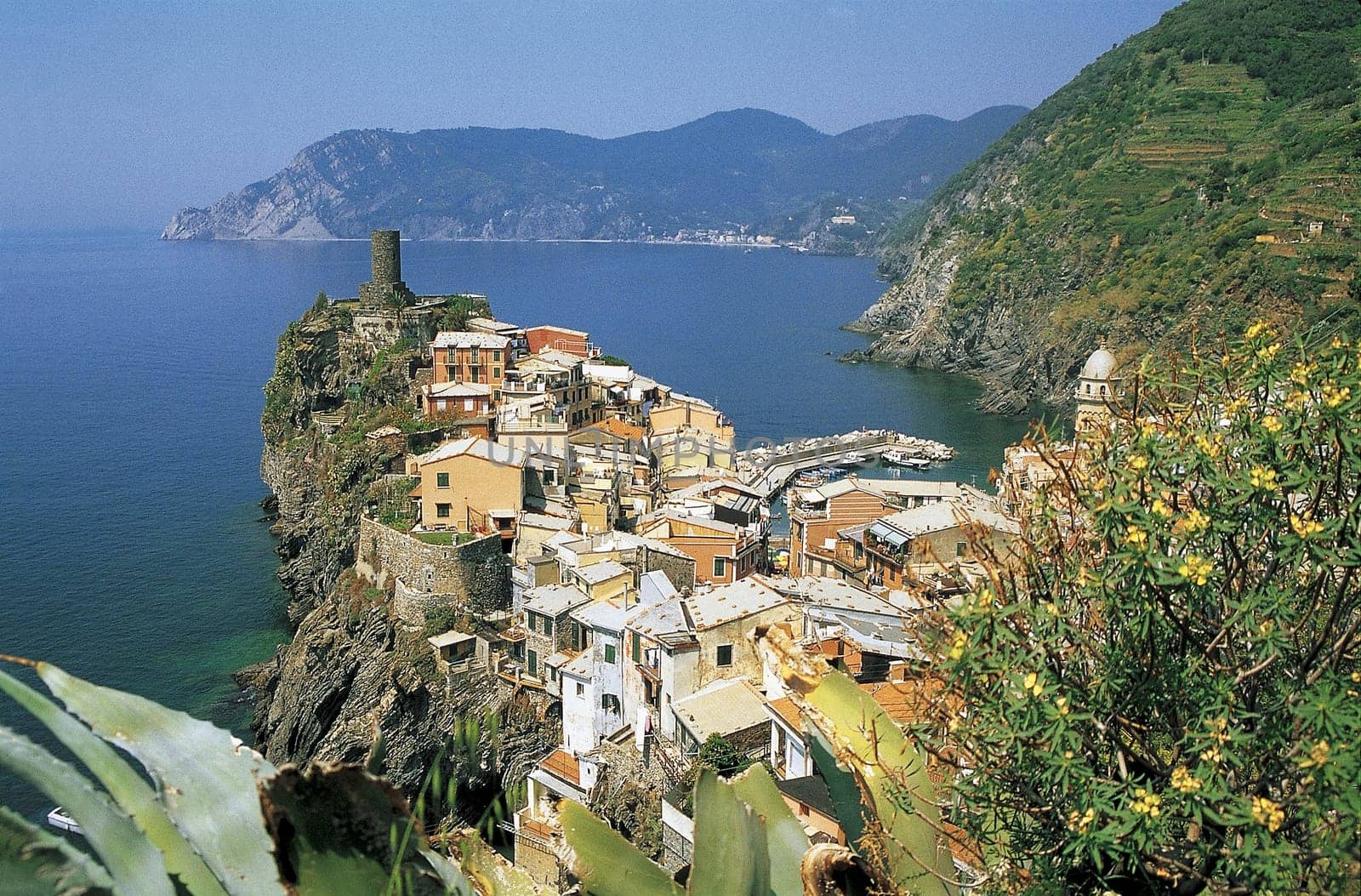 Immersed in the green of the wine terraces,the olive groves and an enchanting flora of the Mediterranean scrub.