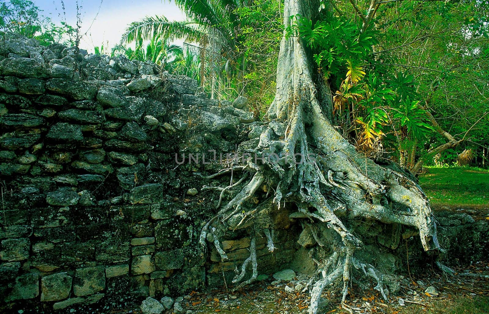 Ravages of time