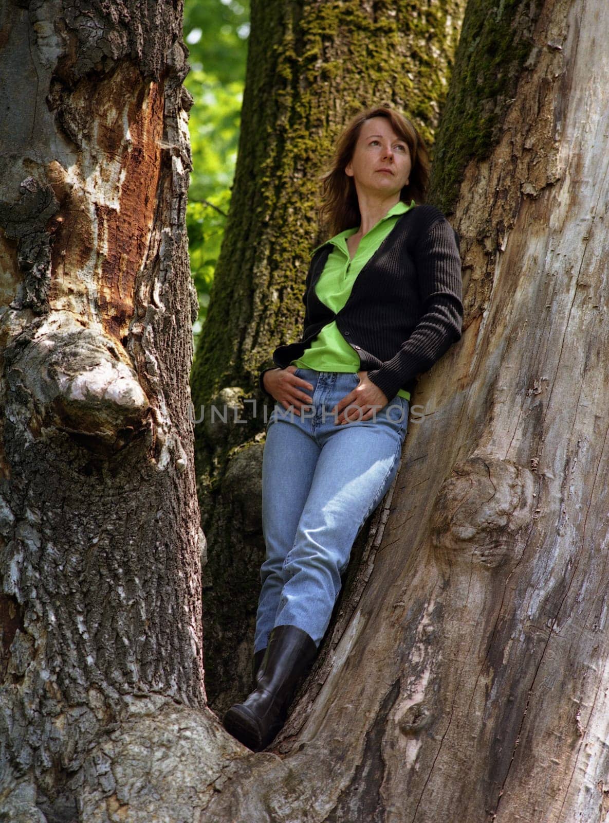 Woman in the tree