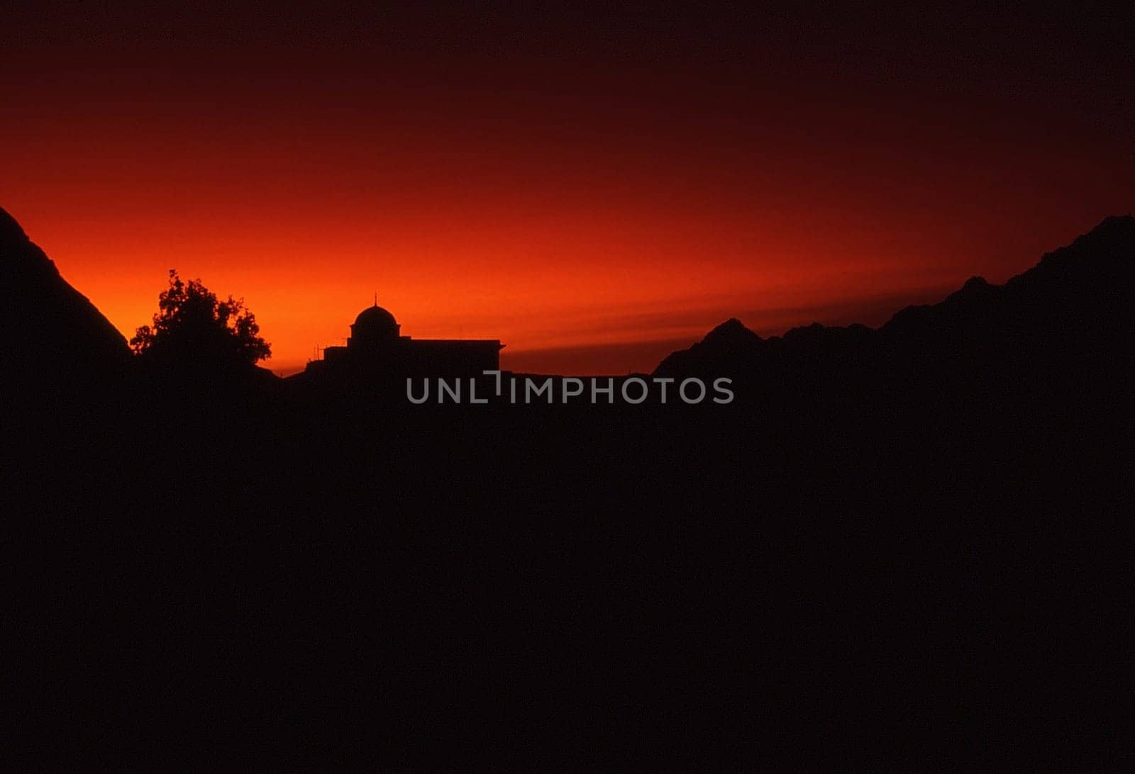 Recorded in the Sinai Mountains,Egypt 1991