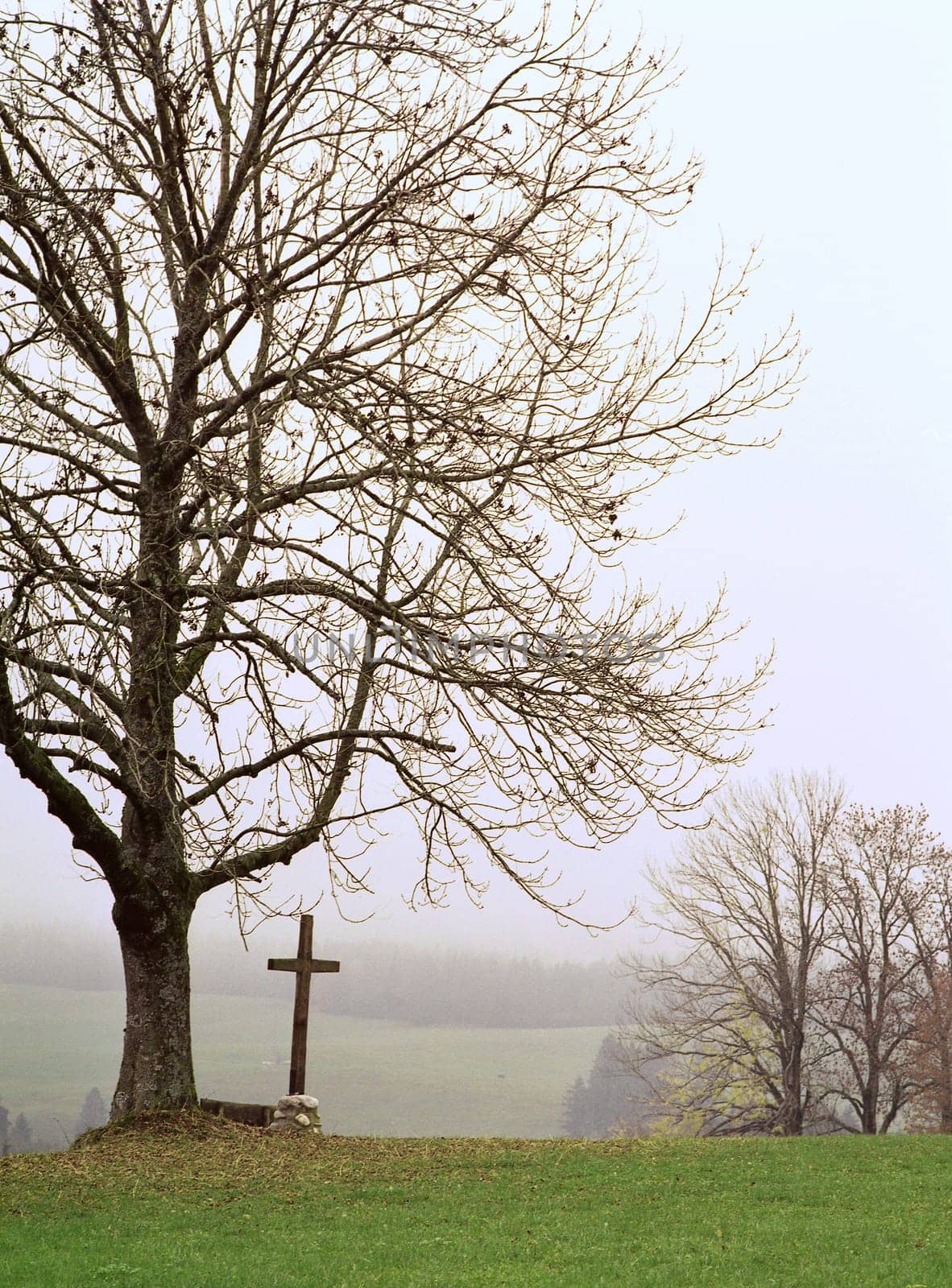 Into the Unknown