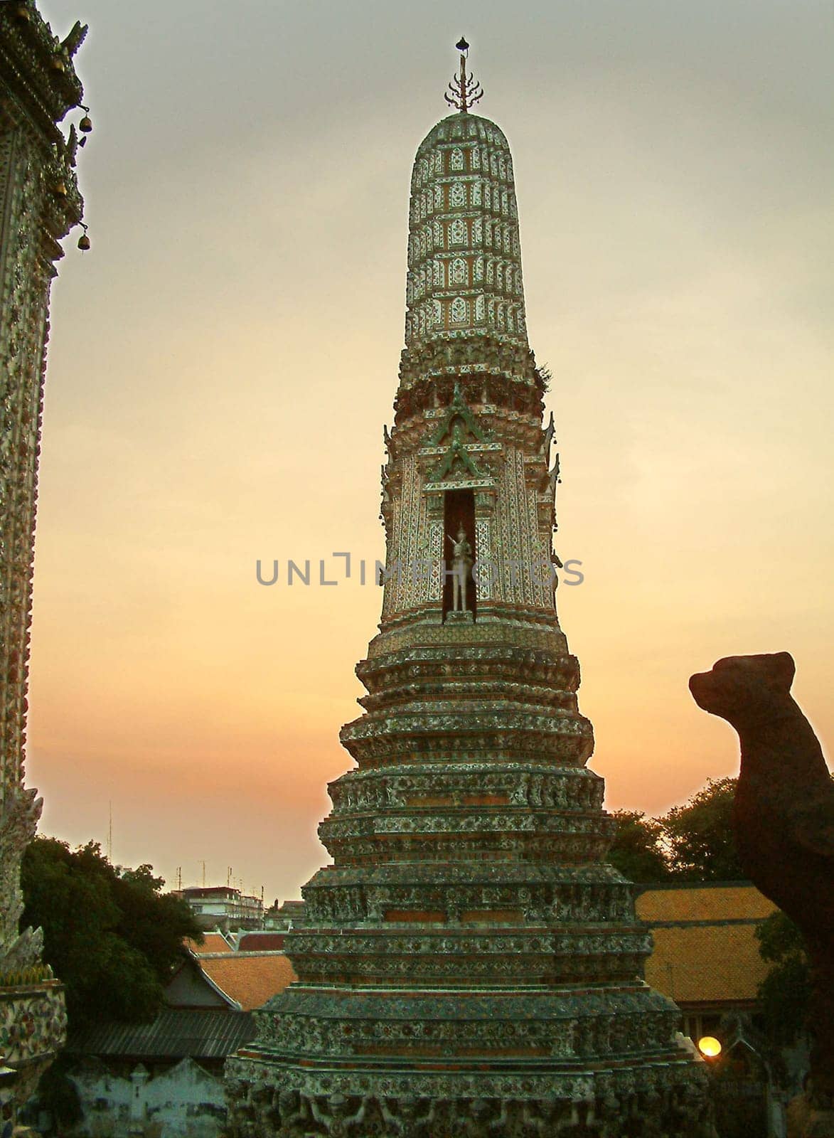 What Arun in the evening