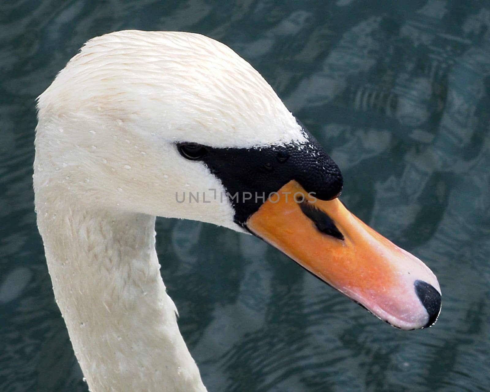 With the rotatable monitor,I was able to get really close. (Cam: RICOH -21mm-f7-1/300s)