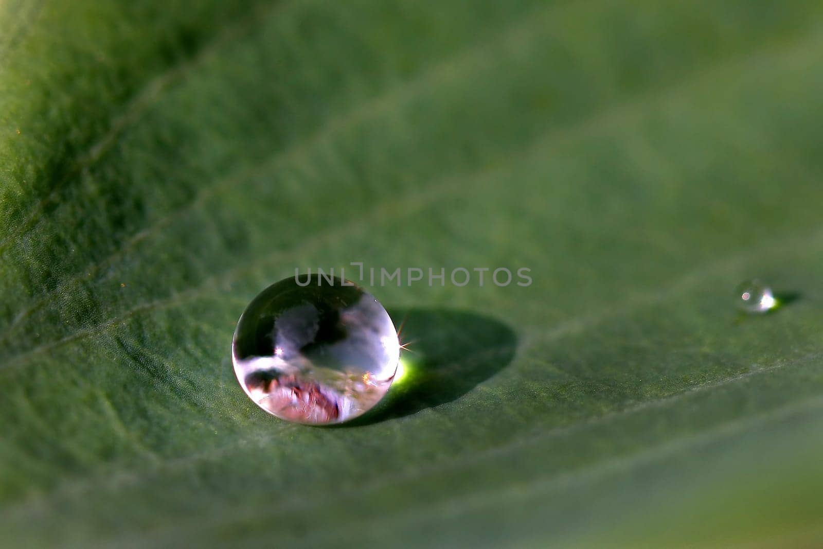 Waterdrop