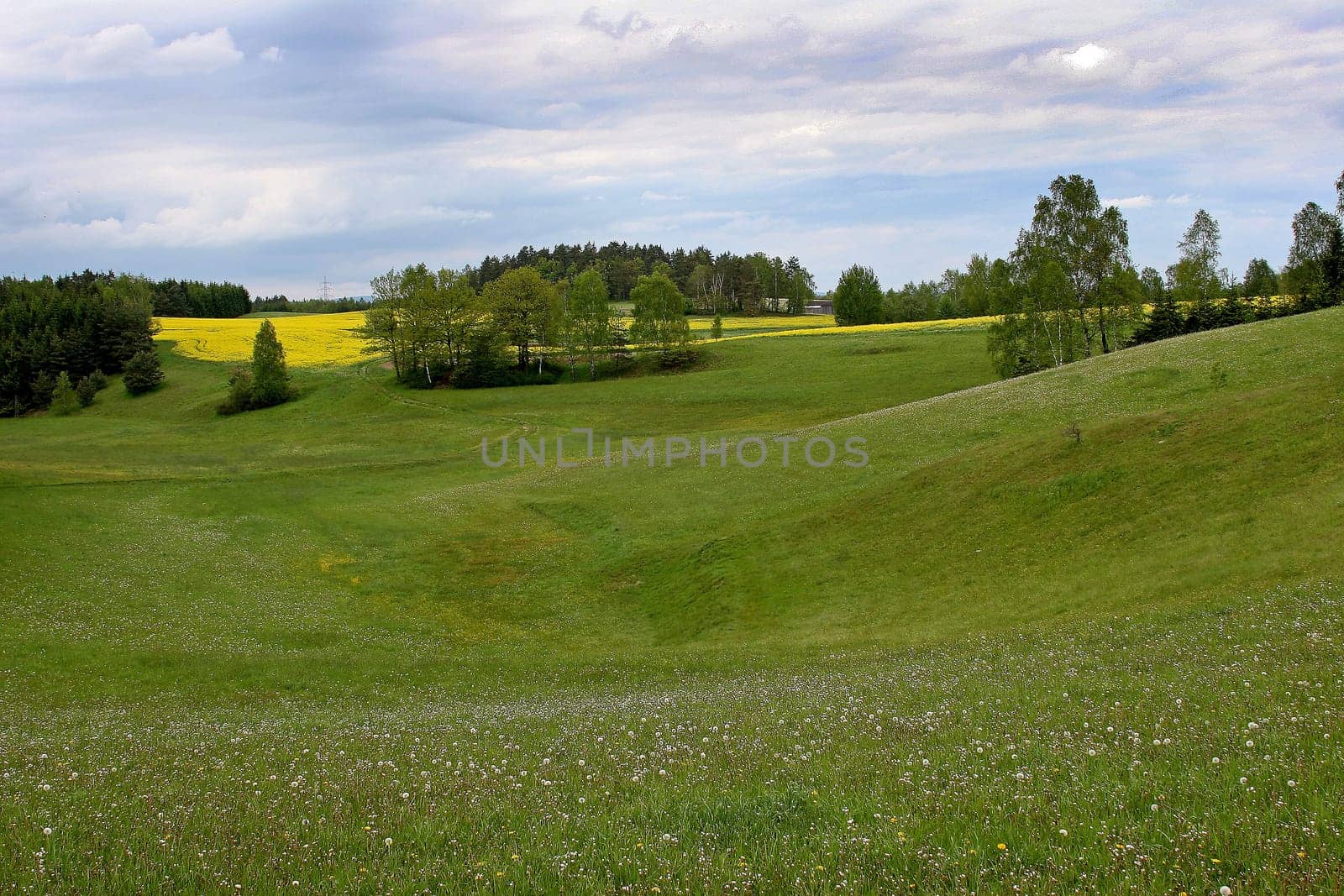 Landscape