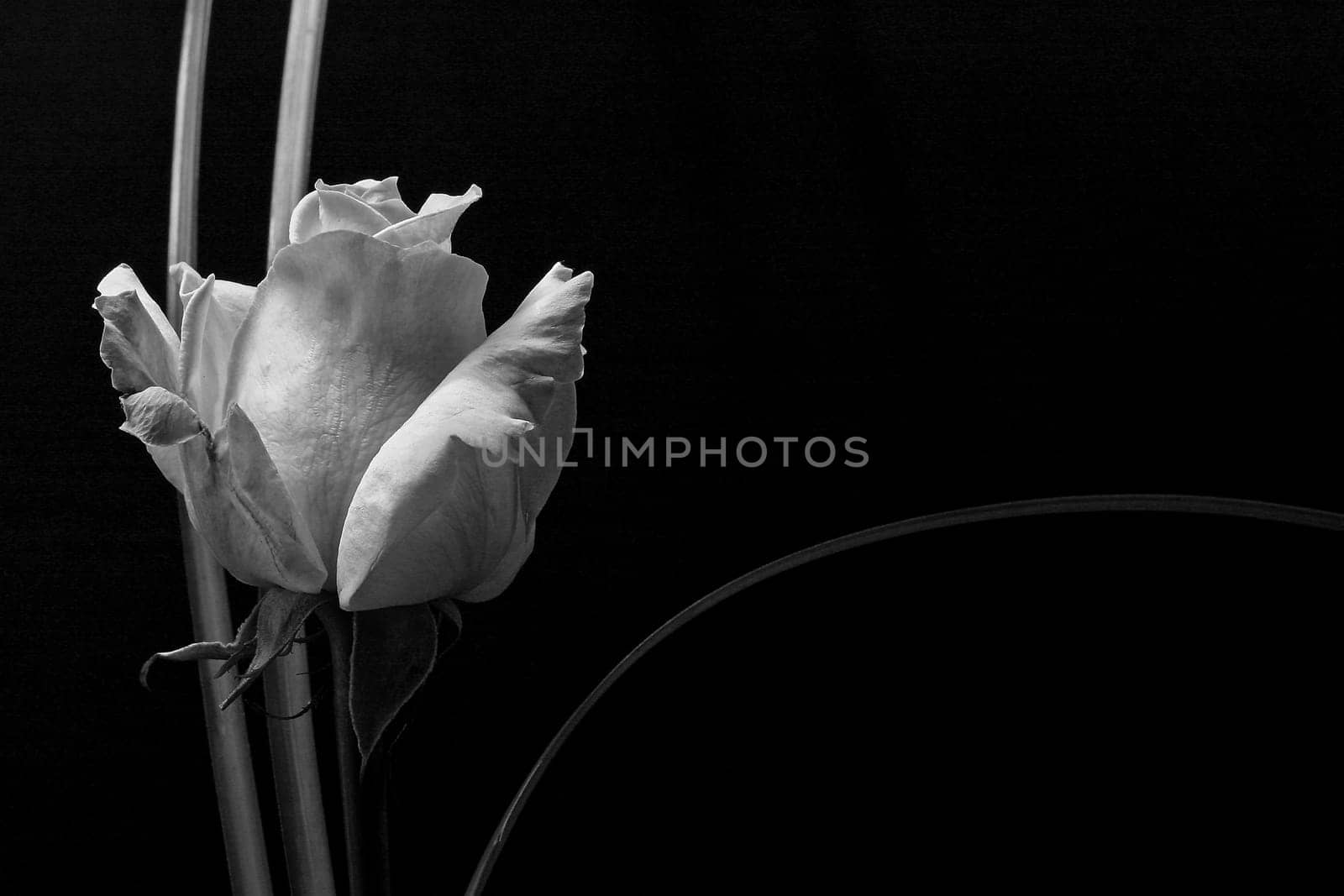 Mourning