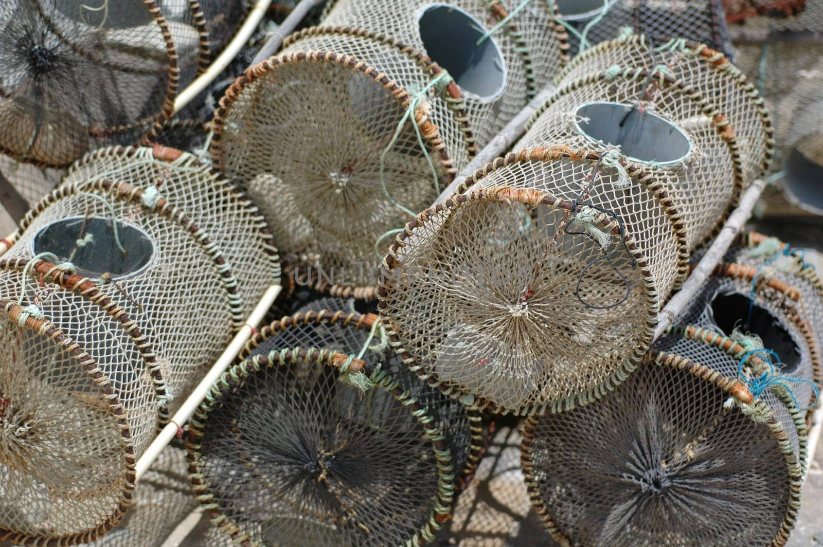 Fish traps