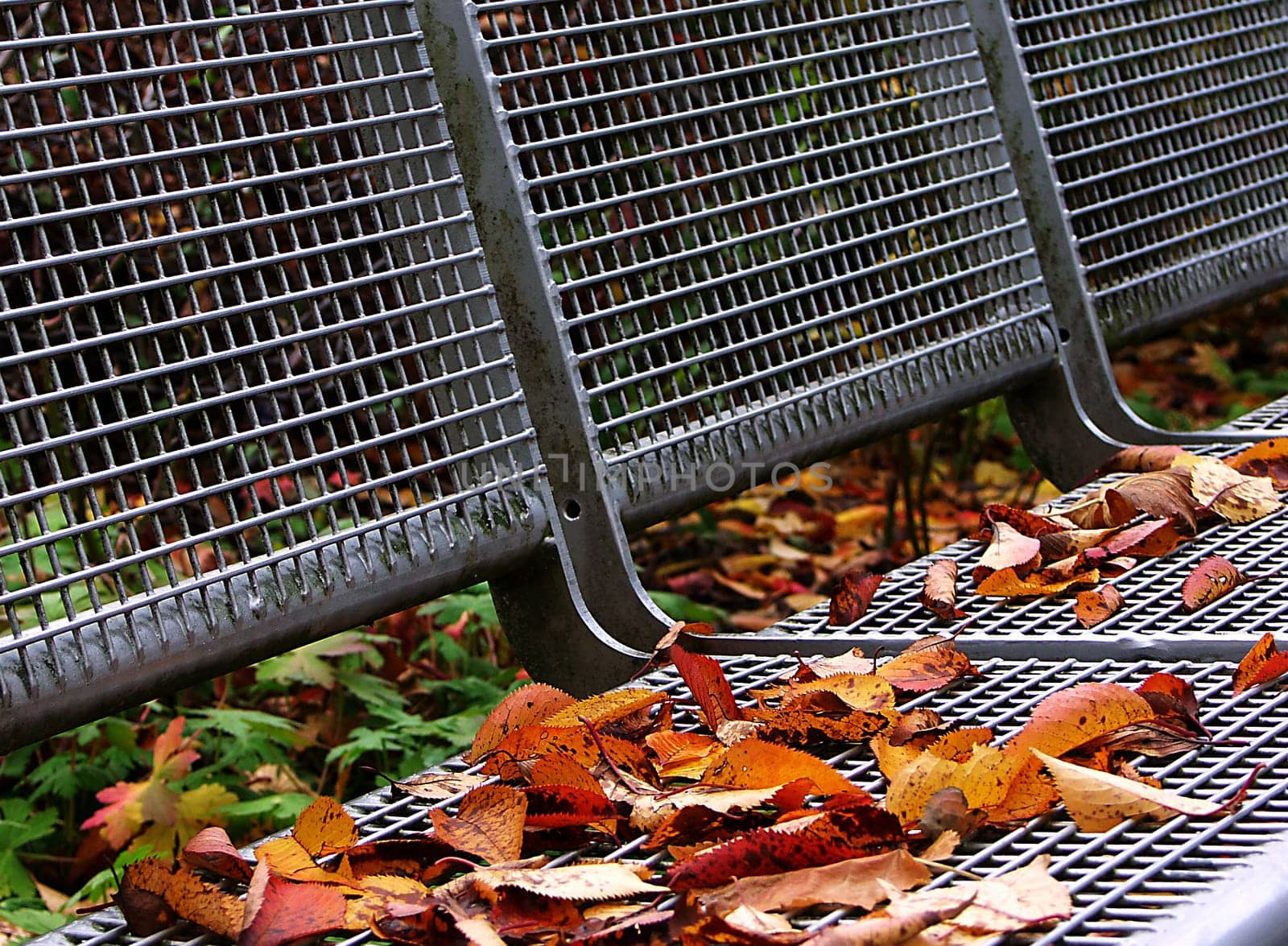Park bench