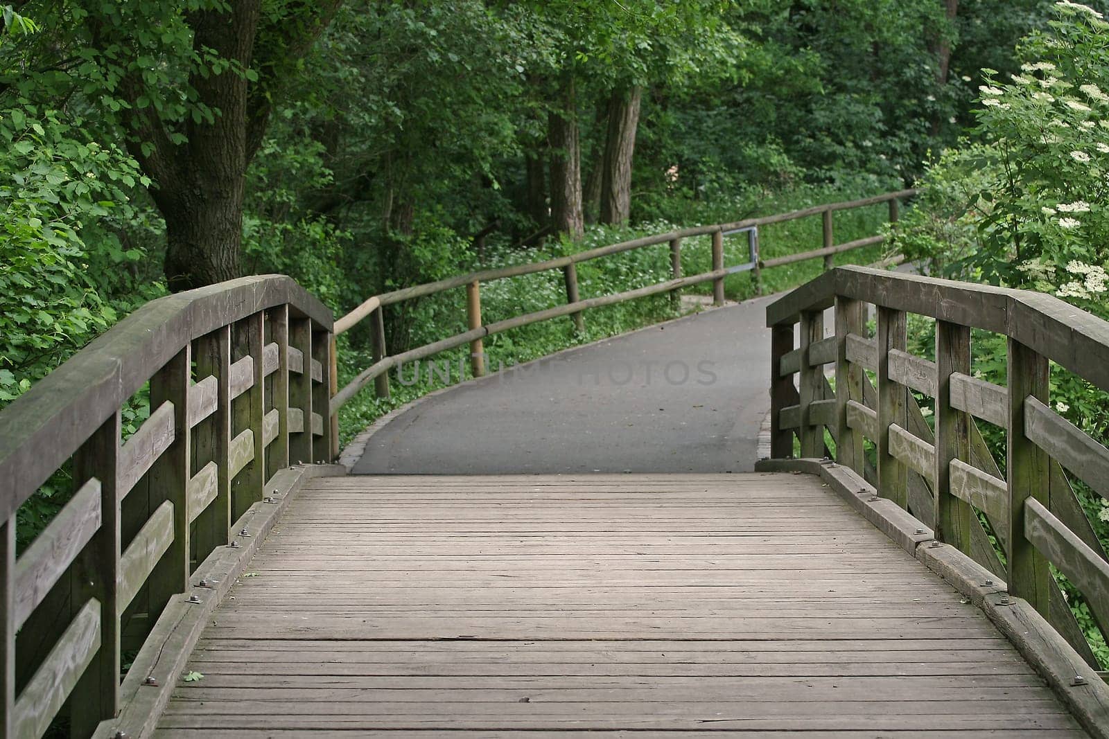 Bridge