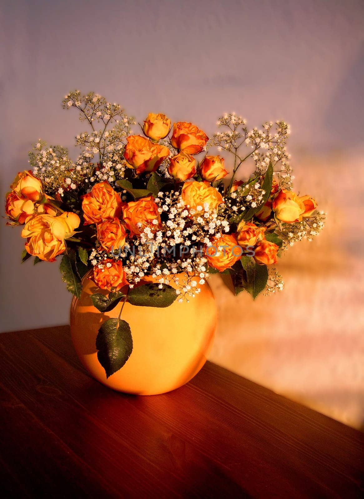 Still life in the evening light