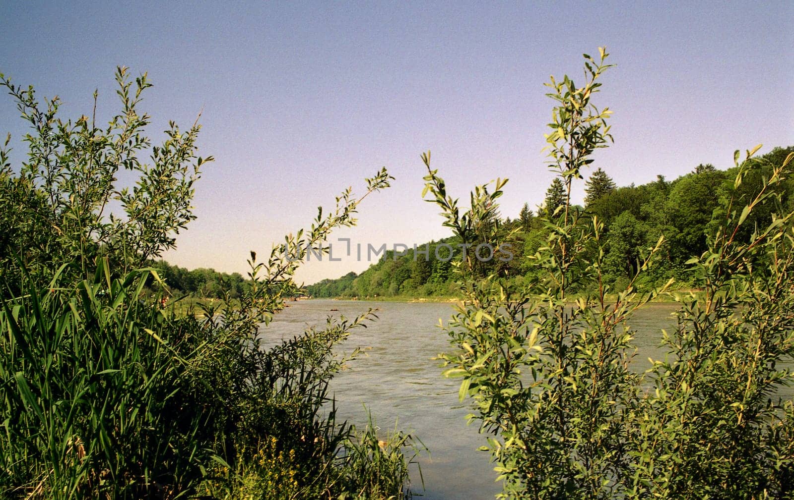 By the river