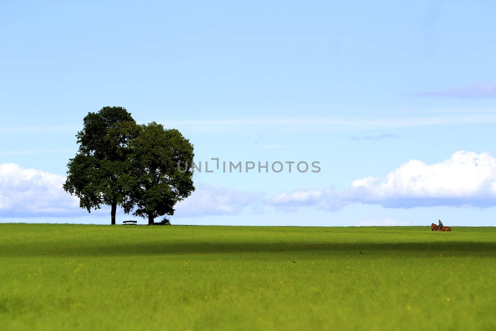 Summerland
