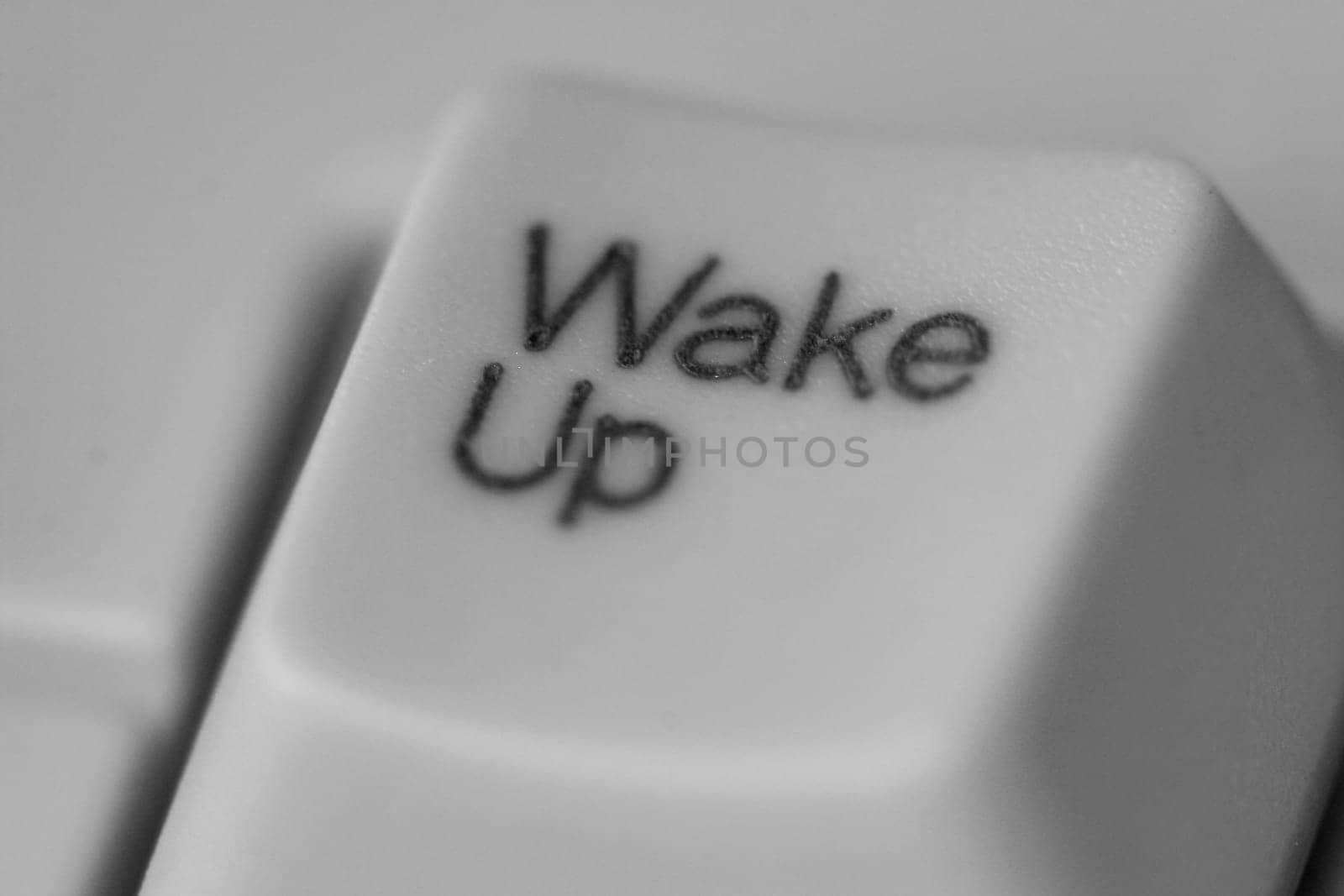 Wake up