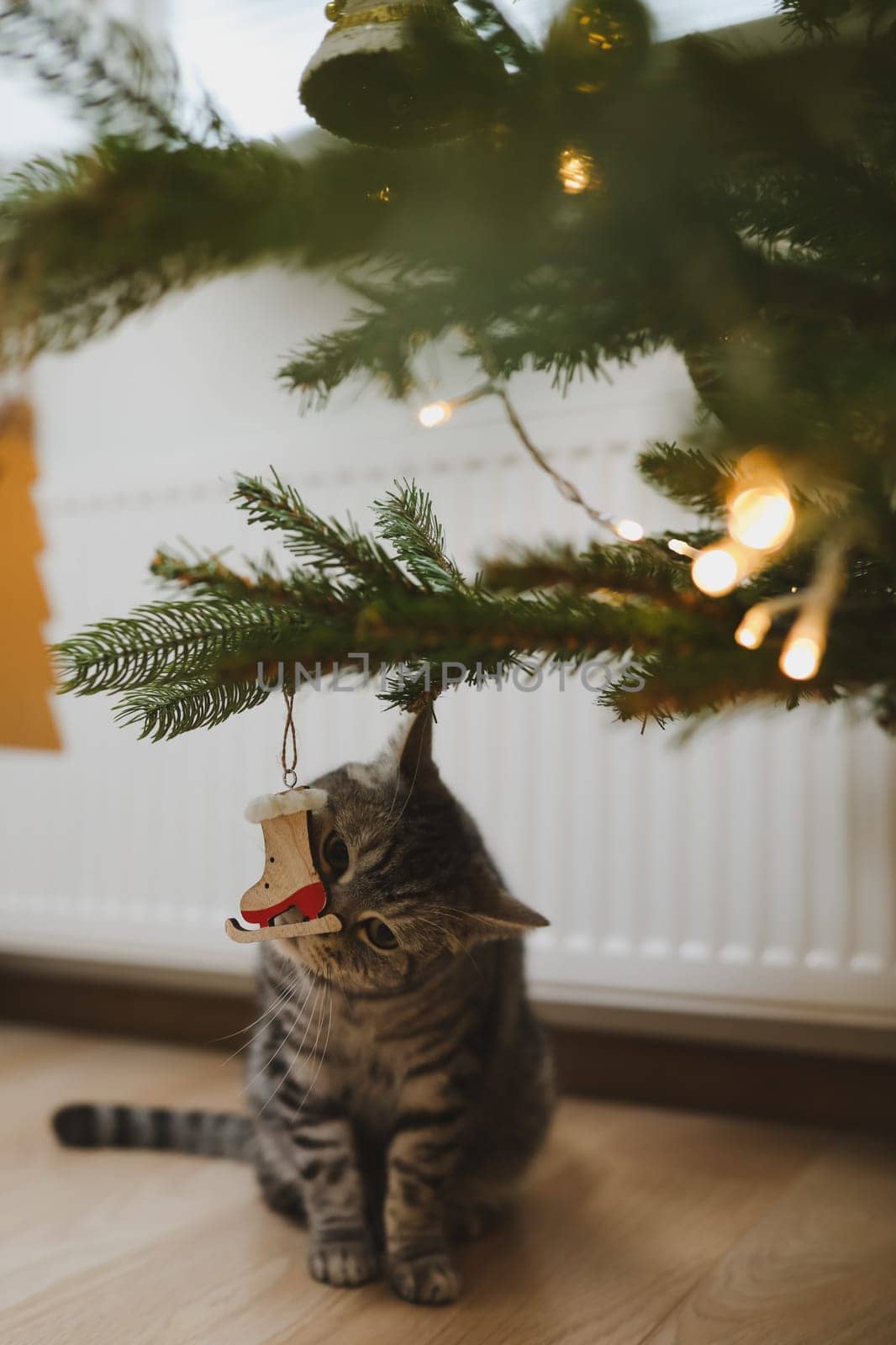 Cute funny cat on background of stylish decorated christmas tree. Pet and winter holidays. Atmospheric cozy christmas eve