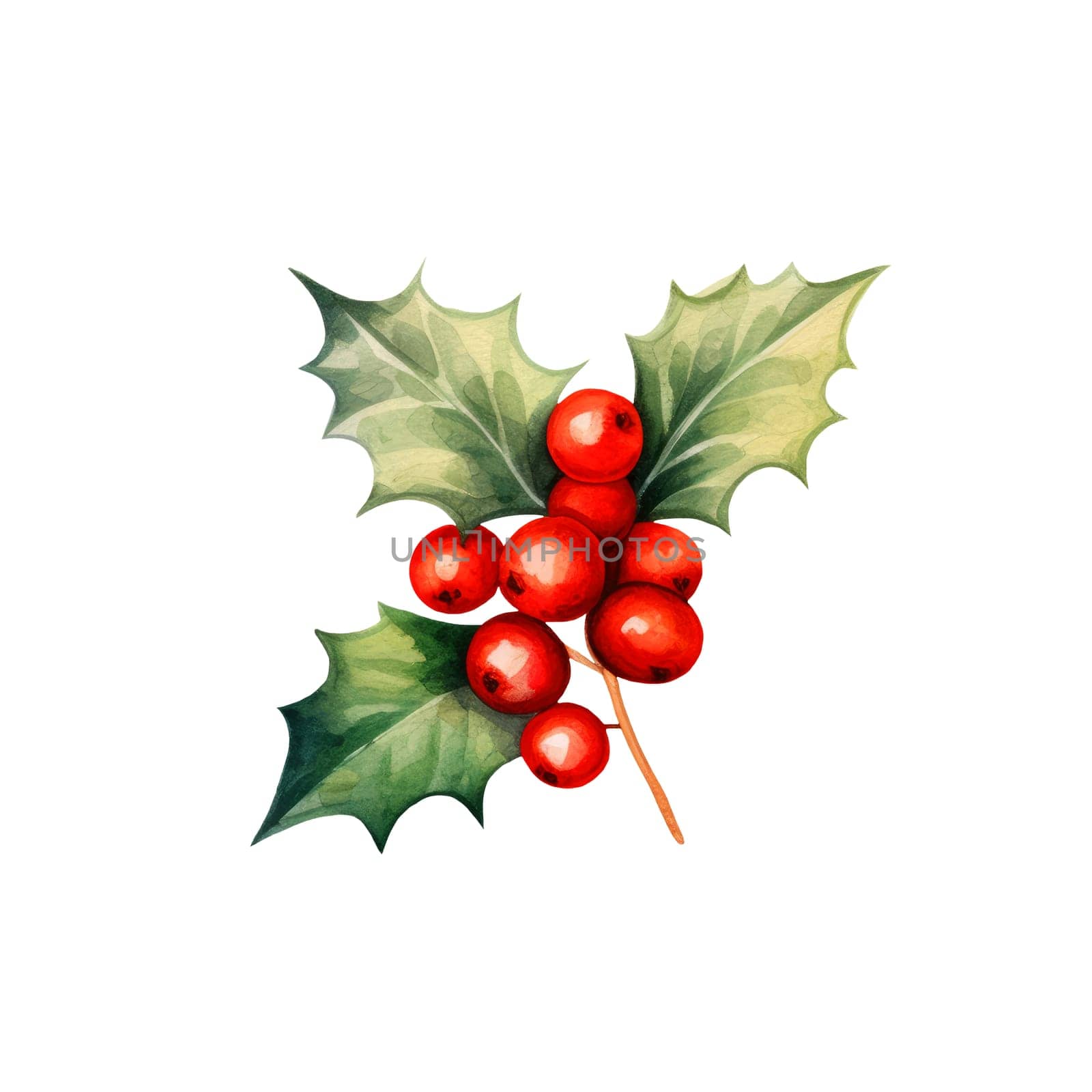 Watercolor christmas holly on a white background. Holly berries with green leaves. AI