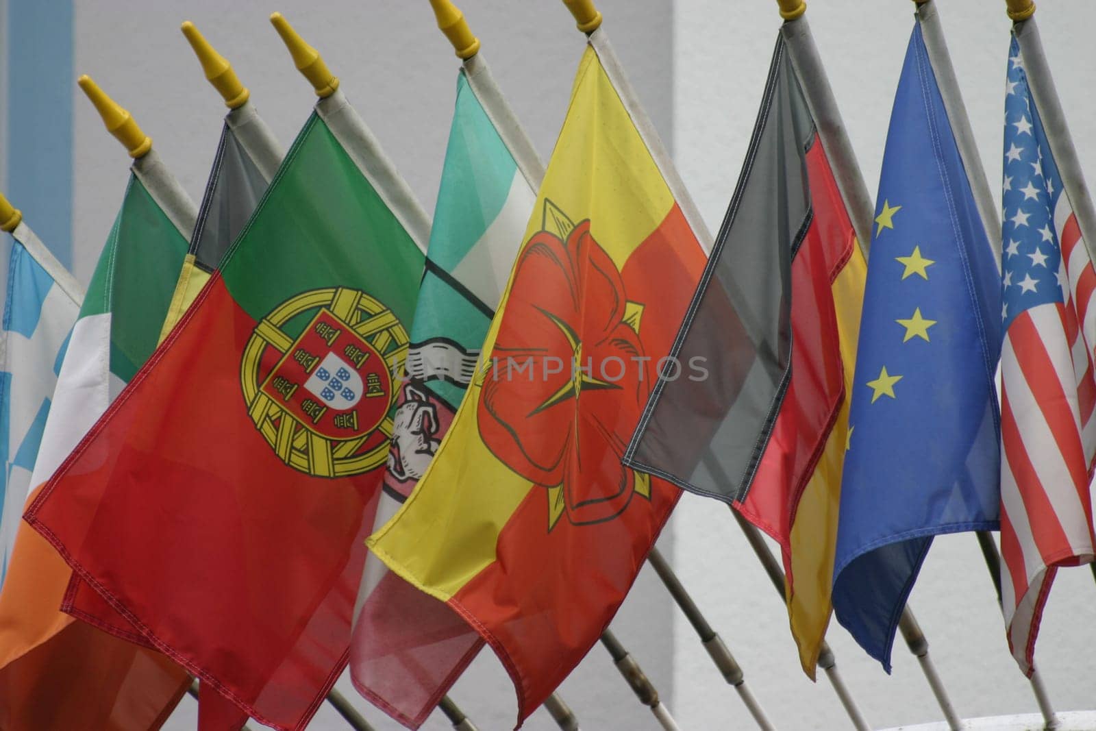 Flag Parade