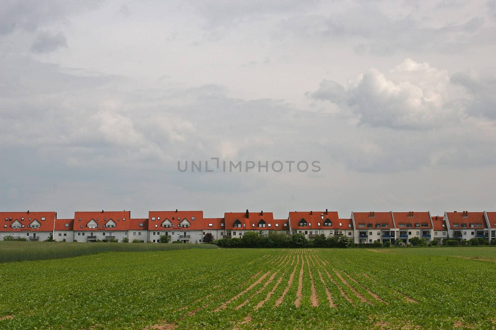 Terrace houses