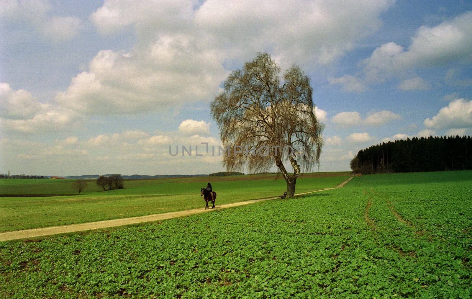 Idyll in the countryside