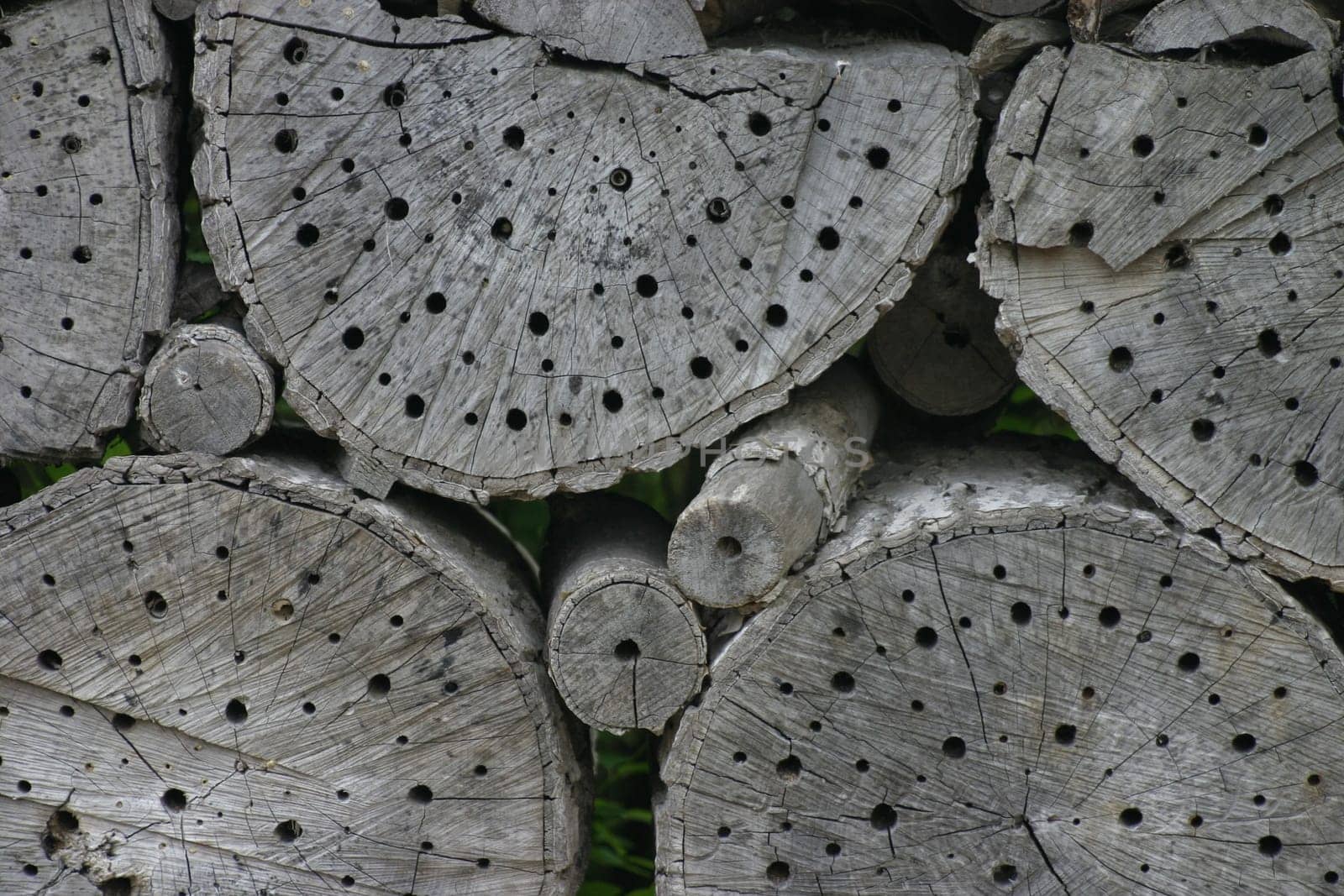 Insect hotel