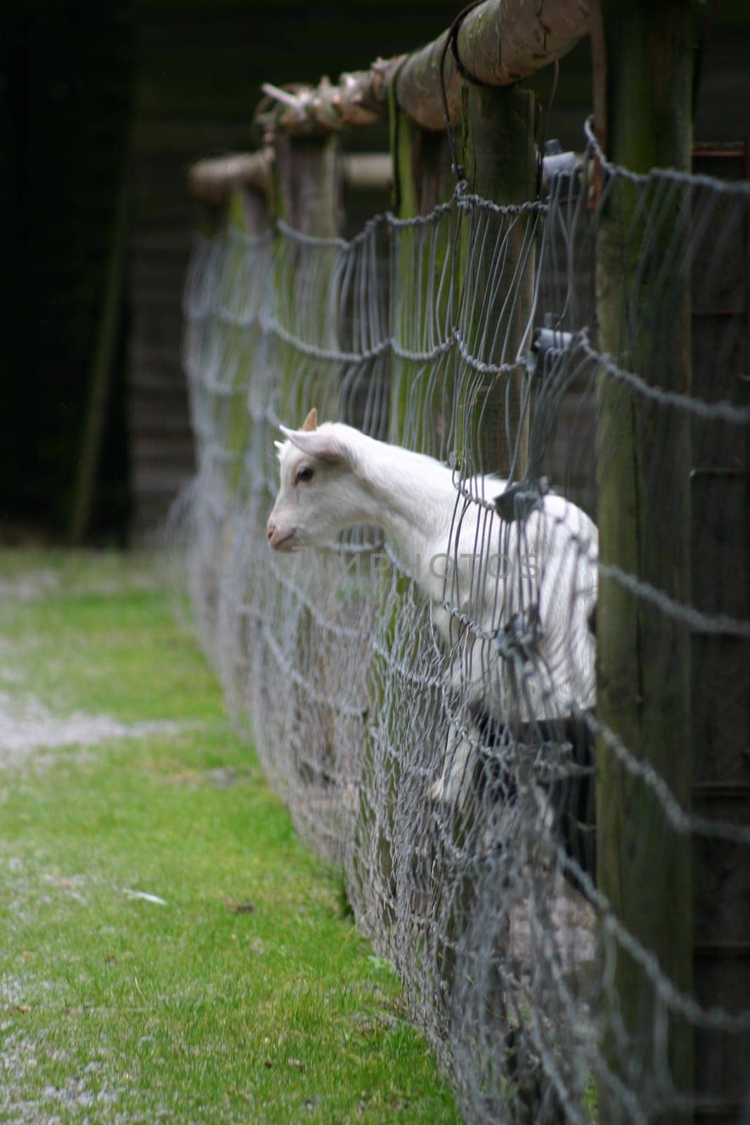 I want to get out of here...